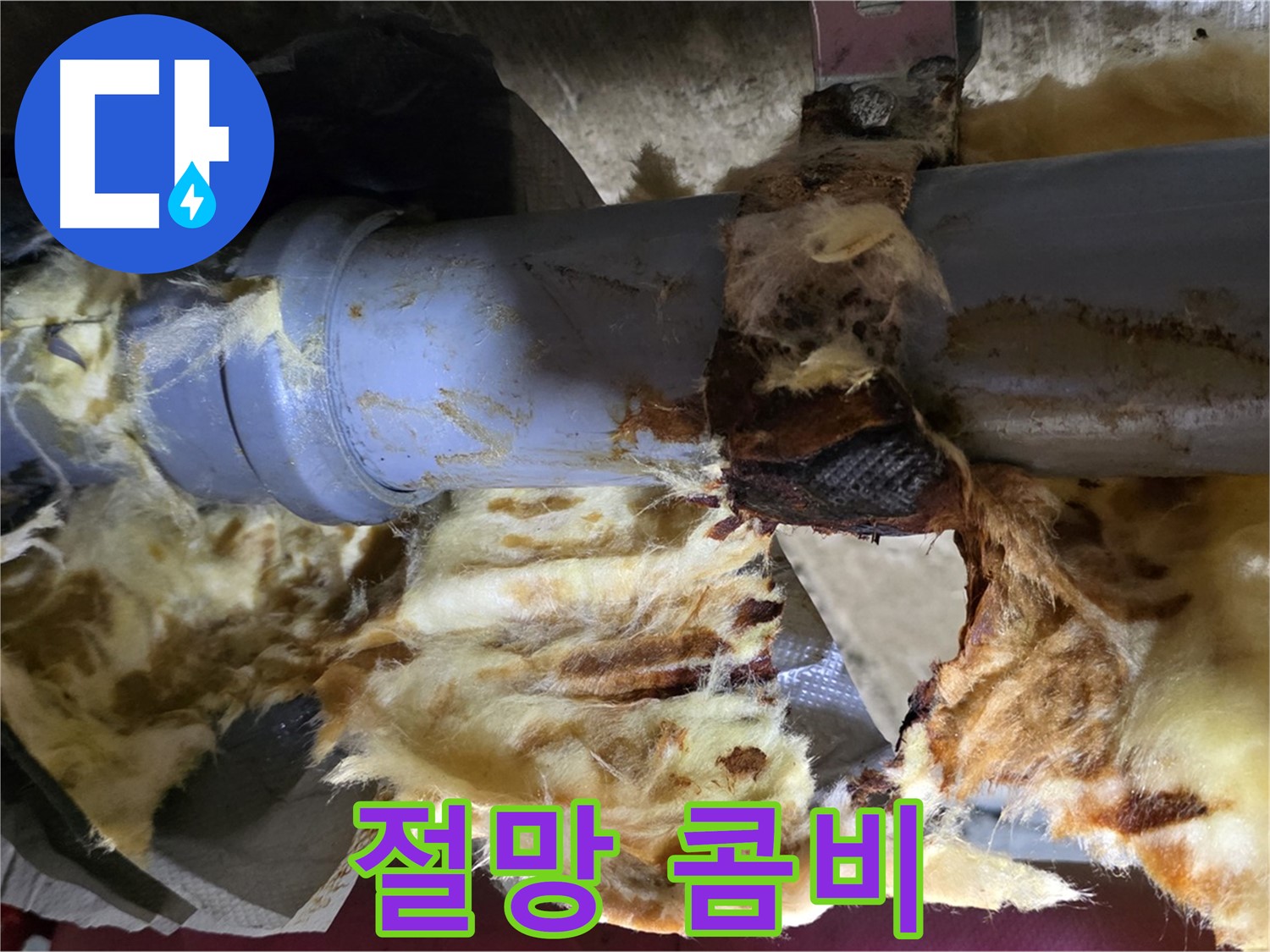 남양주 화도읍 두산아파트 누수 - 낡은 배관에서 누수가 발생하고 곰팡이가 피어난 절망적인 콤비 현장입니다.