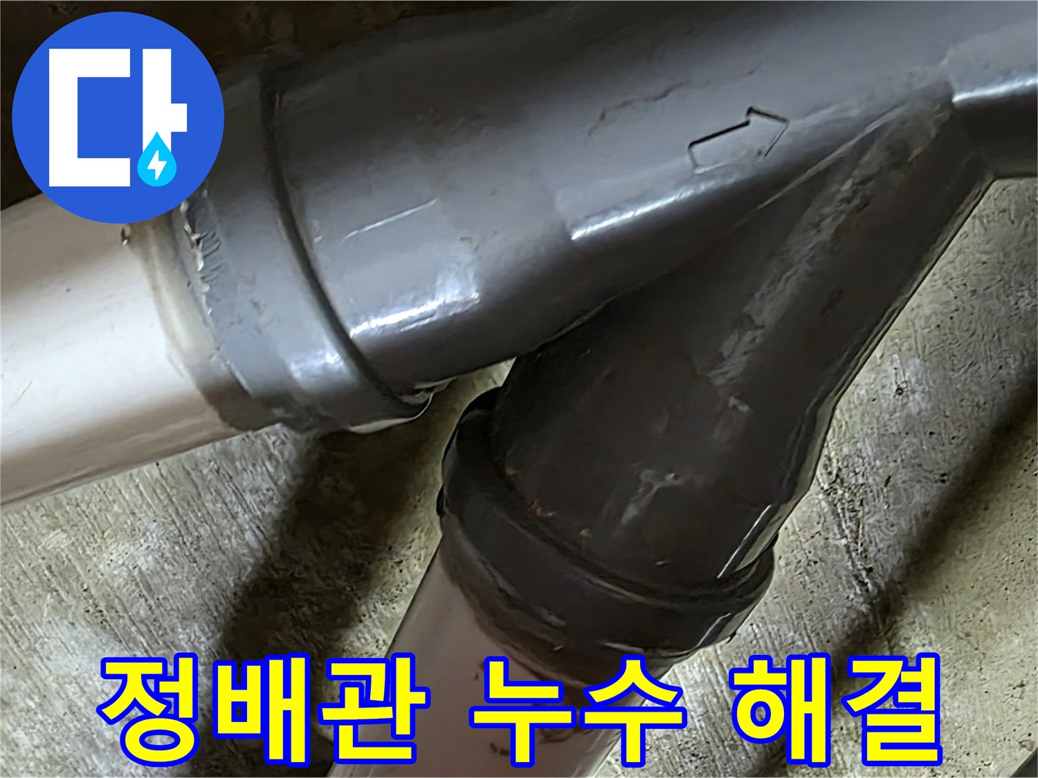 남양주 화도읍 창현리 두산아파트 정배관 누수 - 누수탐지부터 완벽한 보수까지 책임지는 믿음직한 누수 해결 전문 업체입니다.