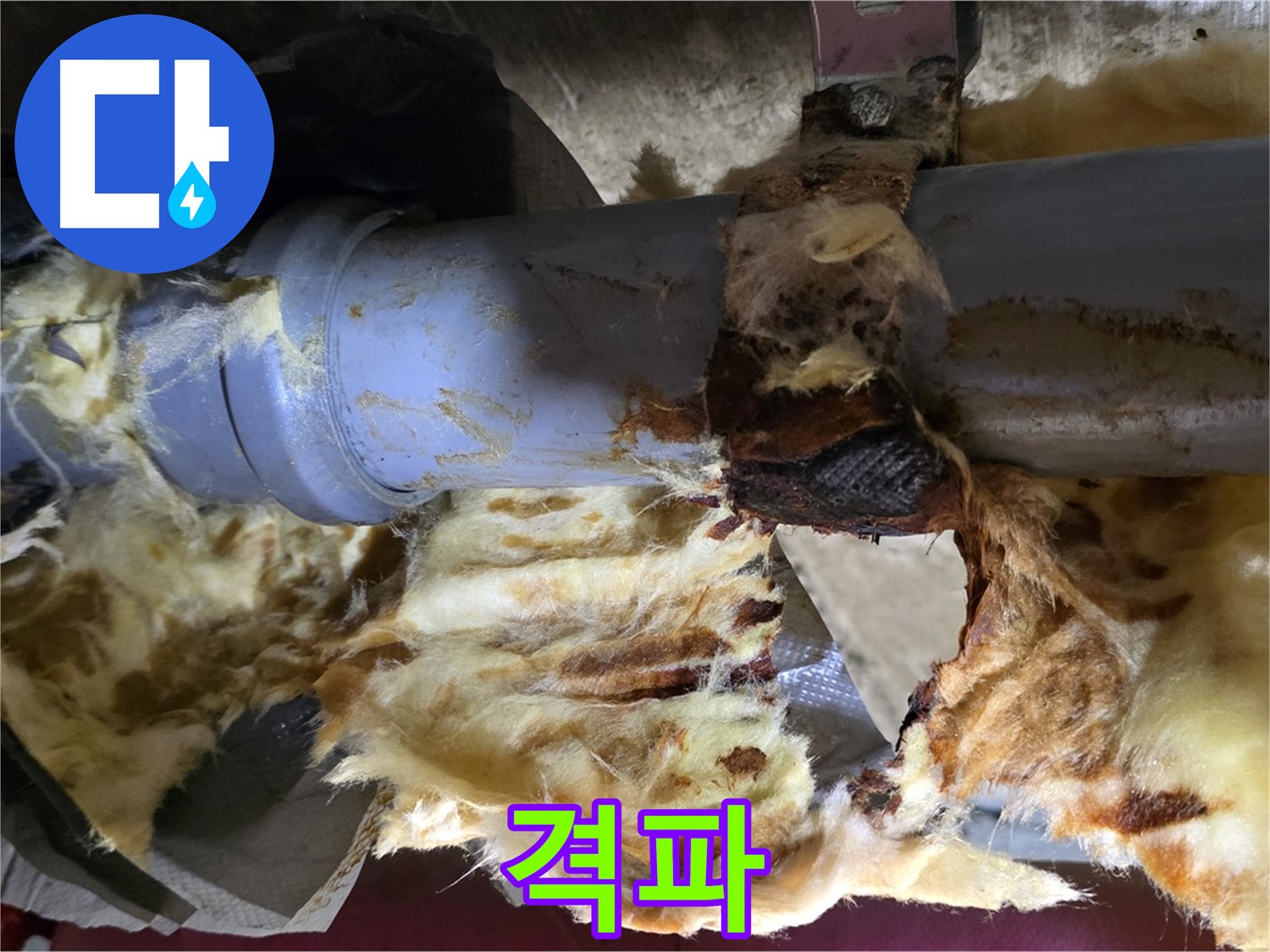 두산아파트 누수 - 낡은 배관, 곰팡이, 젖은 단열재 3가지 골칫덩이를 완전 격파했습니다.