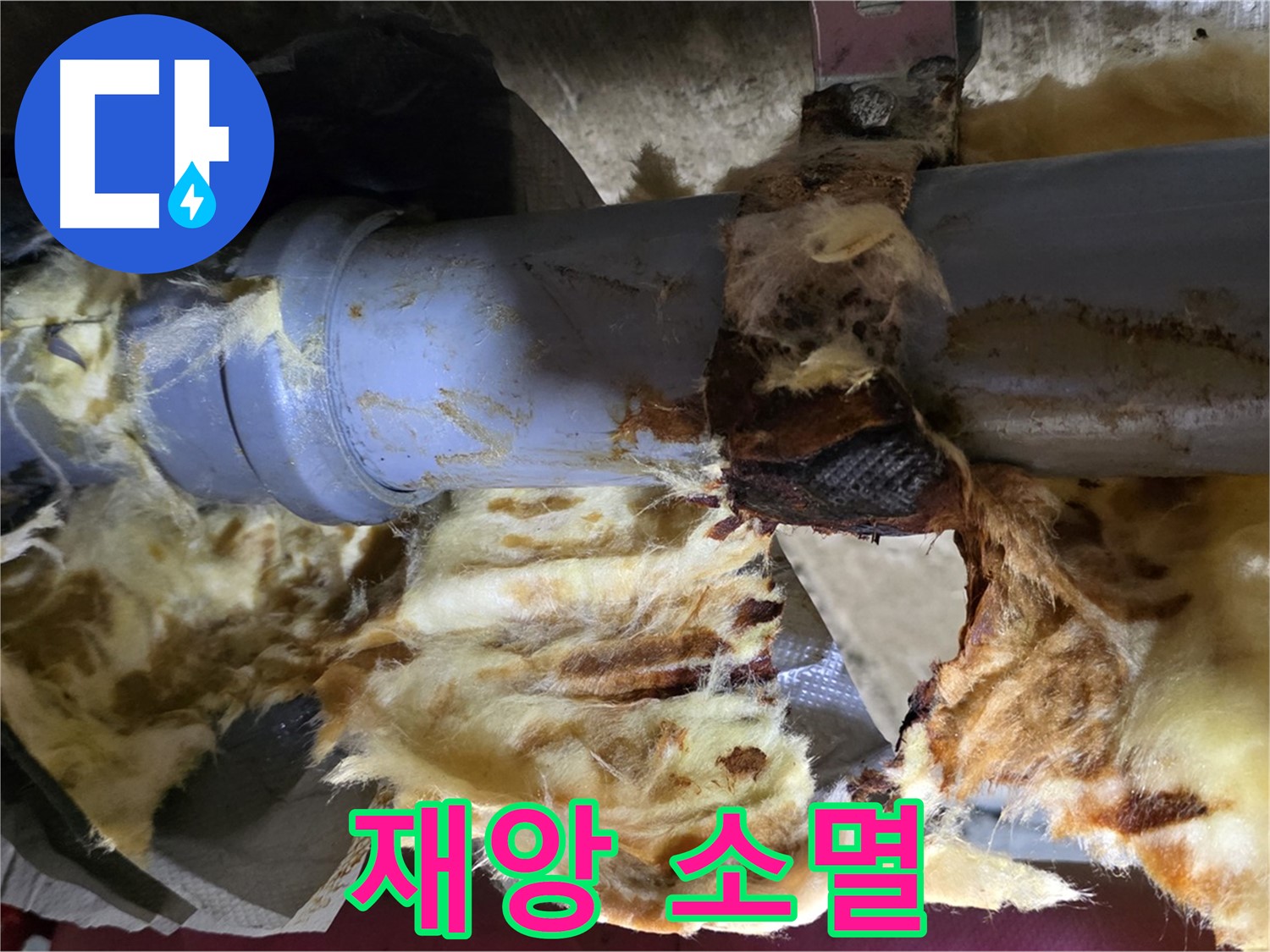 두산아파트 누수 - 낡은 배관, 곰팡이, 젖은 단열재 3가지 재앙을 완전 소멸시키는 작전을 시작합니다.