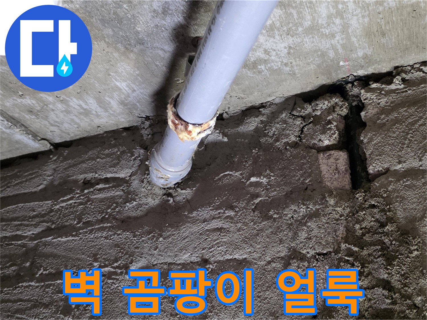 벽에 생긴 곰팡이와 물 얼룩 - 두산아파트 누수