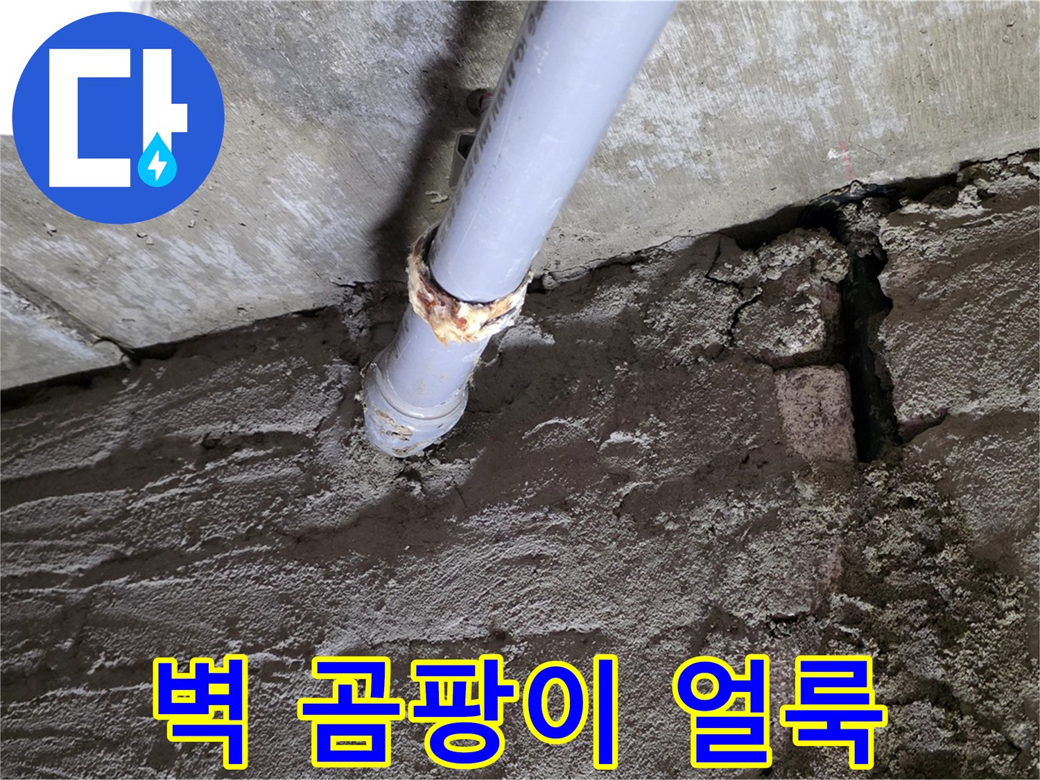 벽에 생긴 곰팡이와 물 얼룩 - 두산아파트 누수