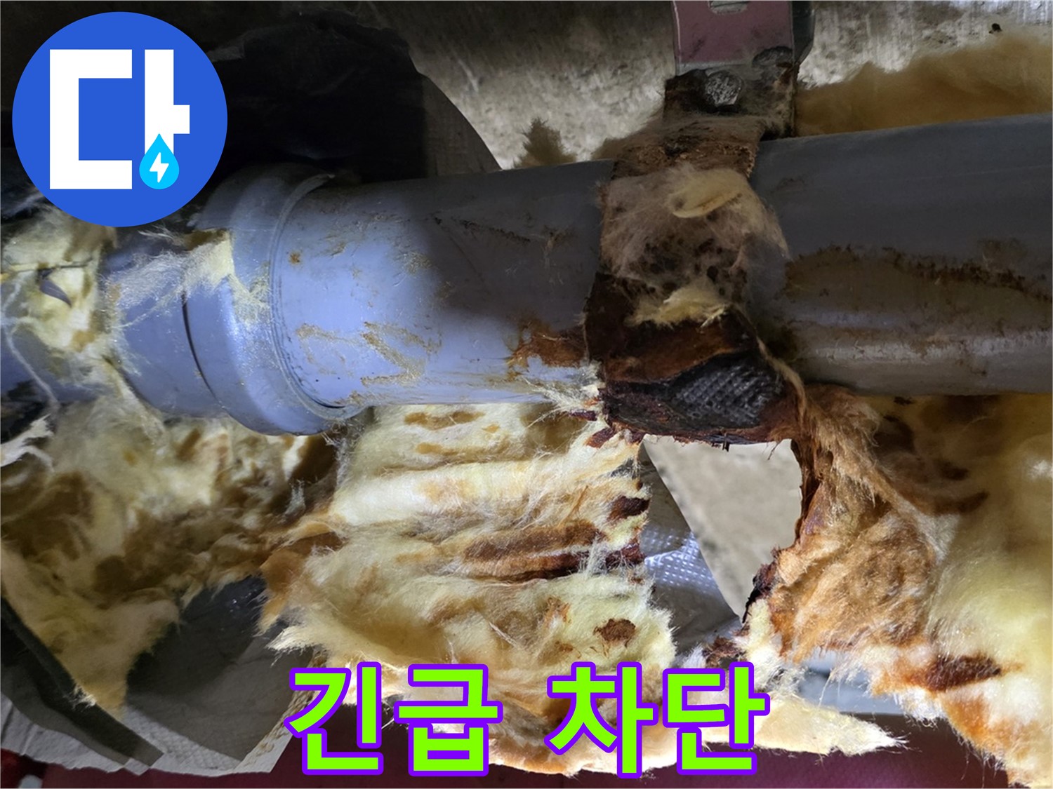화도읍 두산아파트 누수 - 배관 연결 부위에서 누수가 발생하여 곰팡이가 빠르게 번식하고 있습니다.