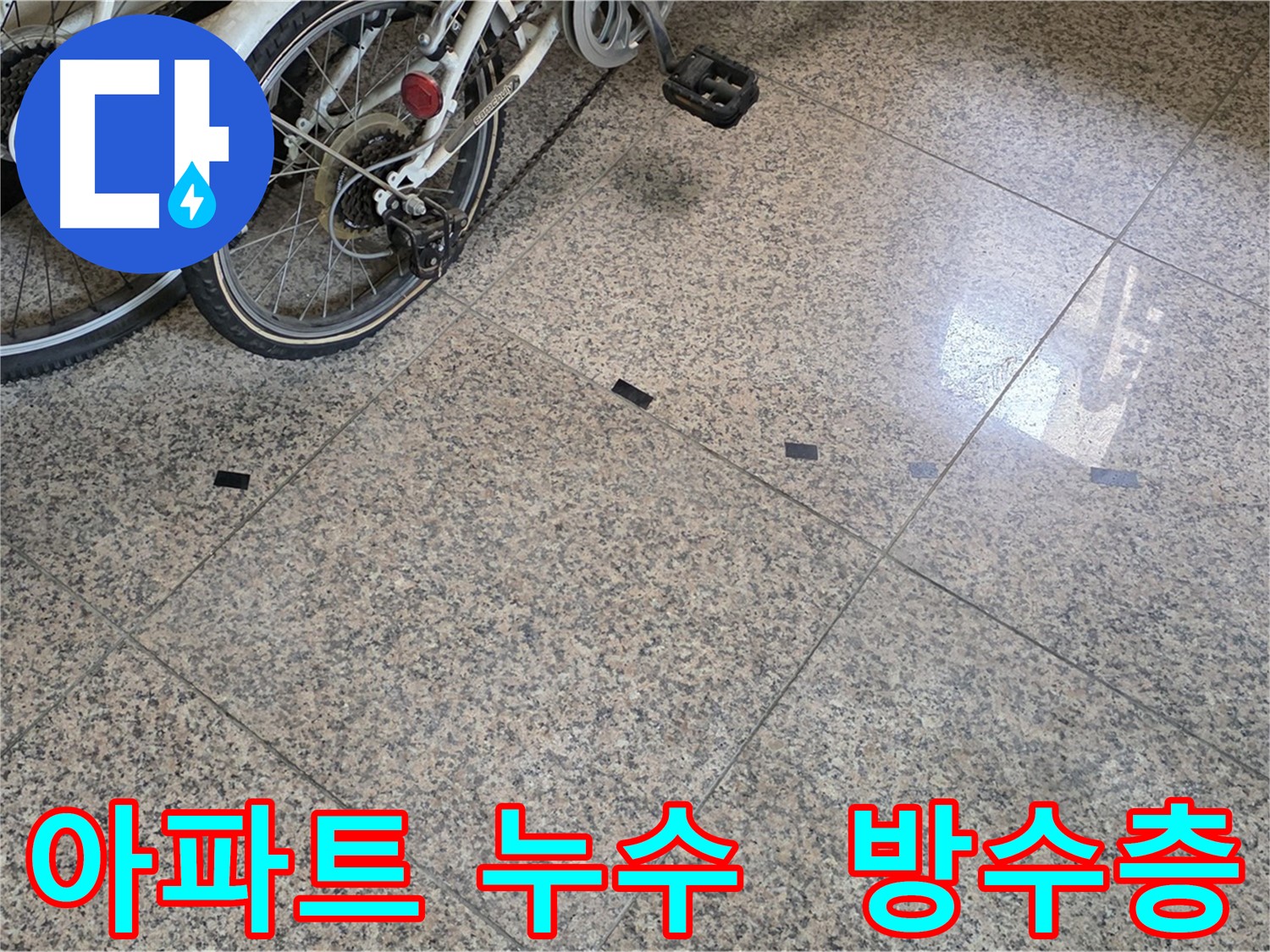 고양시 덕양구 아파트 누수 - 현관 앞 대리석 젖음과 아랫집 천장 누수
