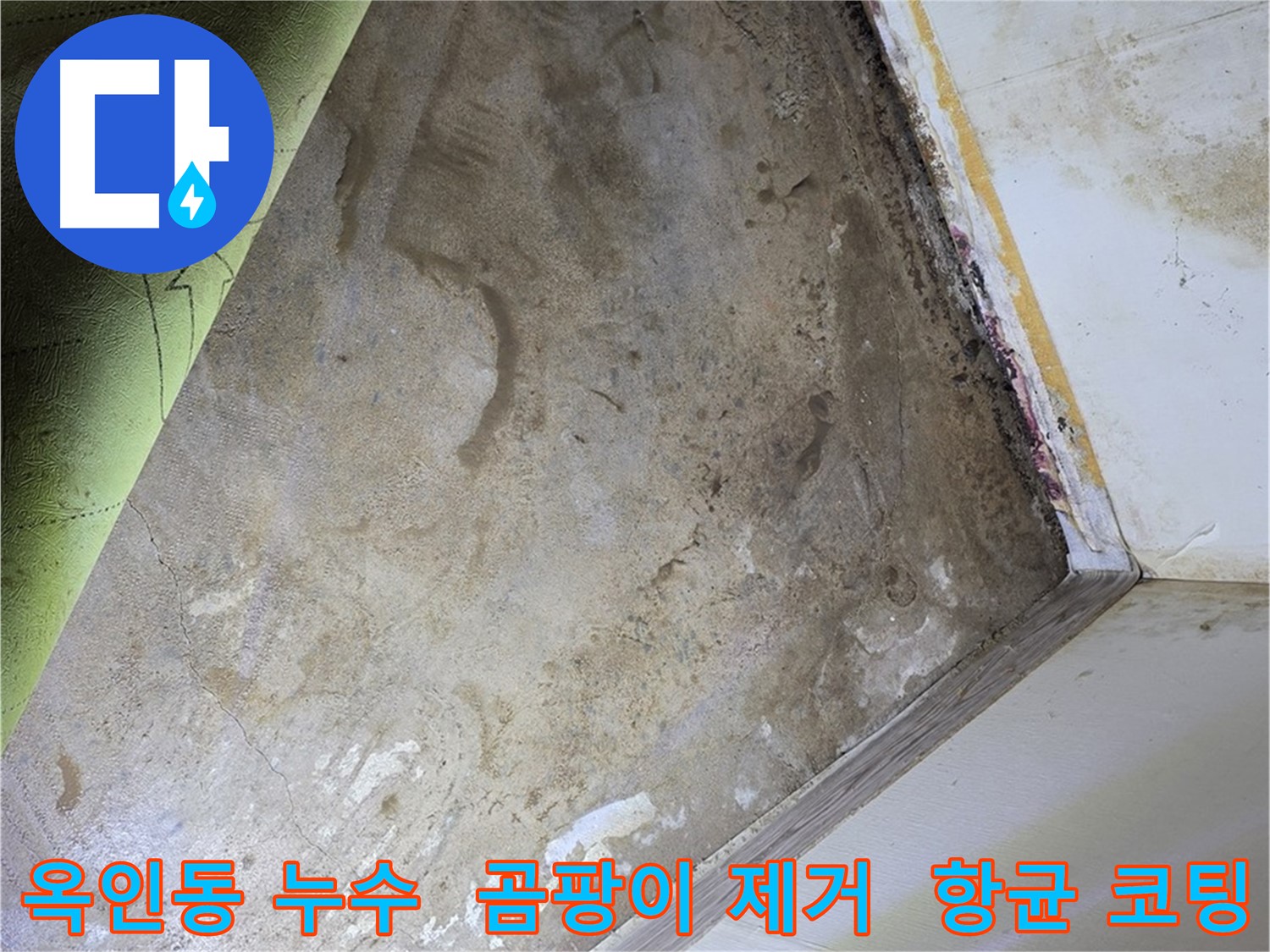 장판 밑 곰팡이 - 옥인동 완벽 제거 후 항균 코팅