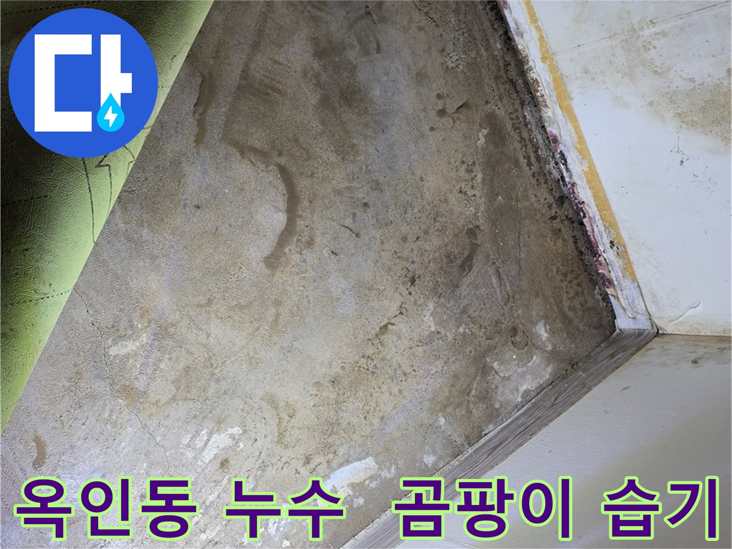 장판 밑 곰팡이 - 옥인동 곰팡이 제거 전 습기 확인
