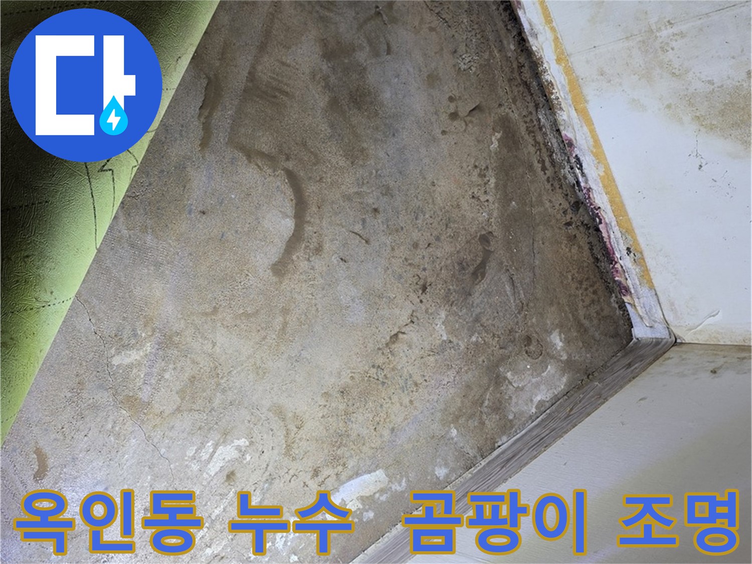 장판 밑 곰팡이 - 옥인동 곰팡이 제거 조명 설치