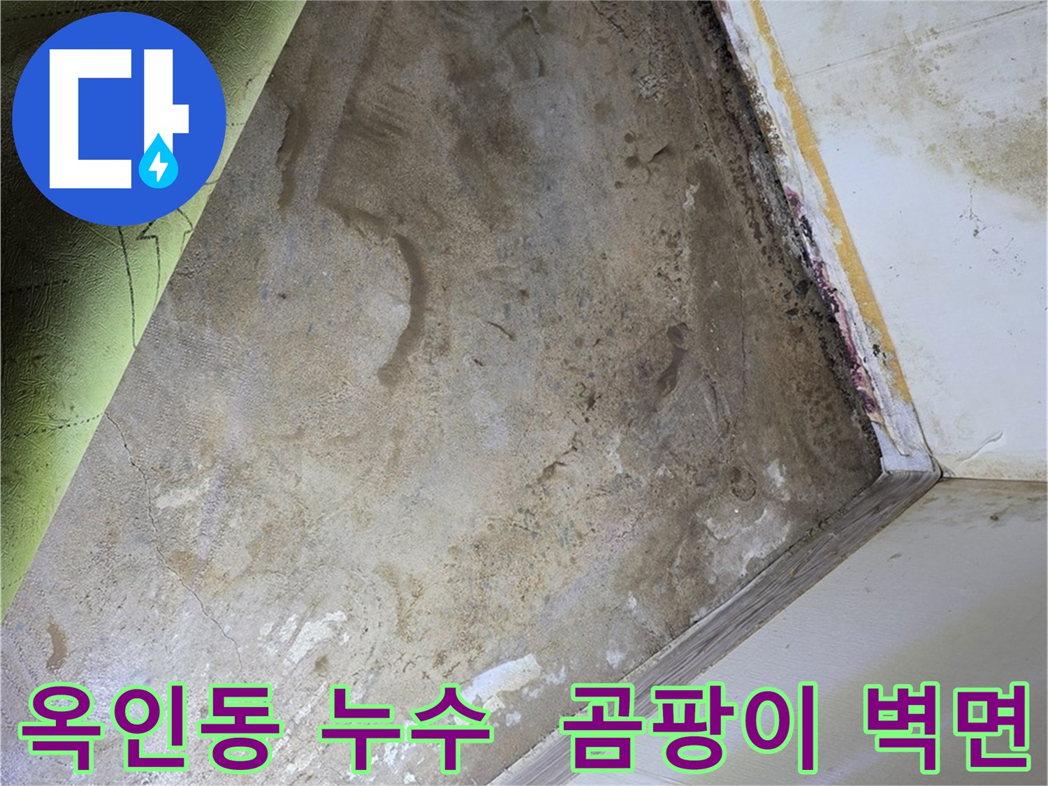 장판 밑 곰팡이 - 옥인동 깨끗해진 벽면