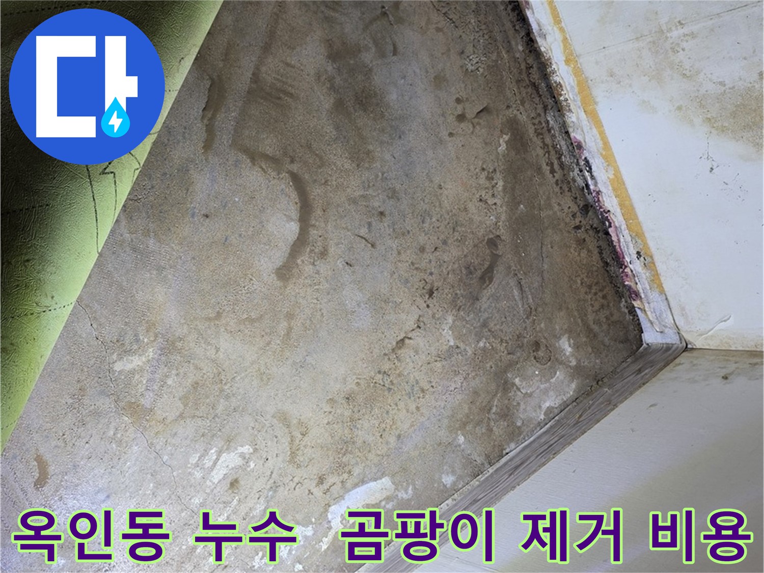 장판 밑 곰팡이 - 옥인동 합리적인 제거 비용