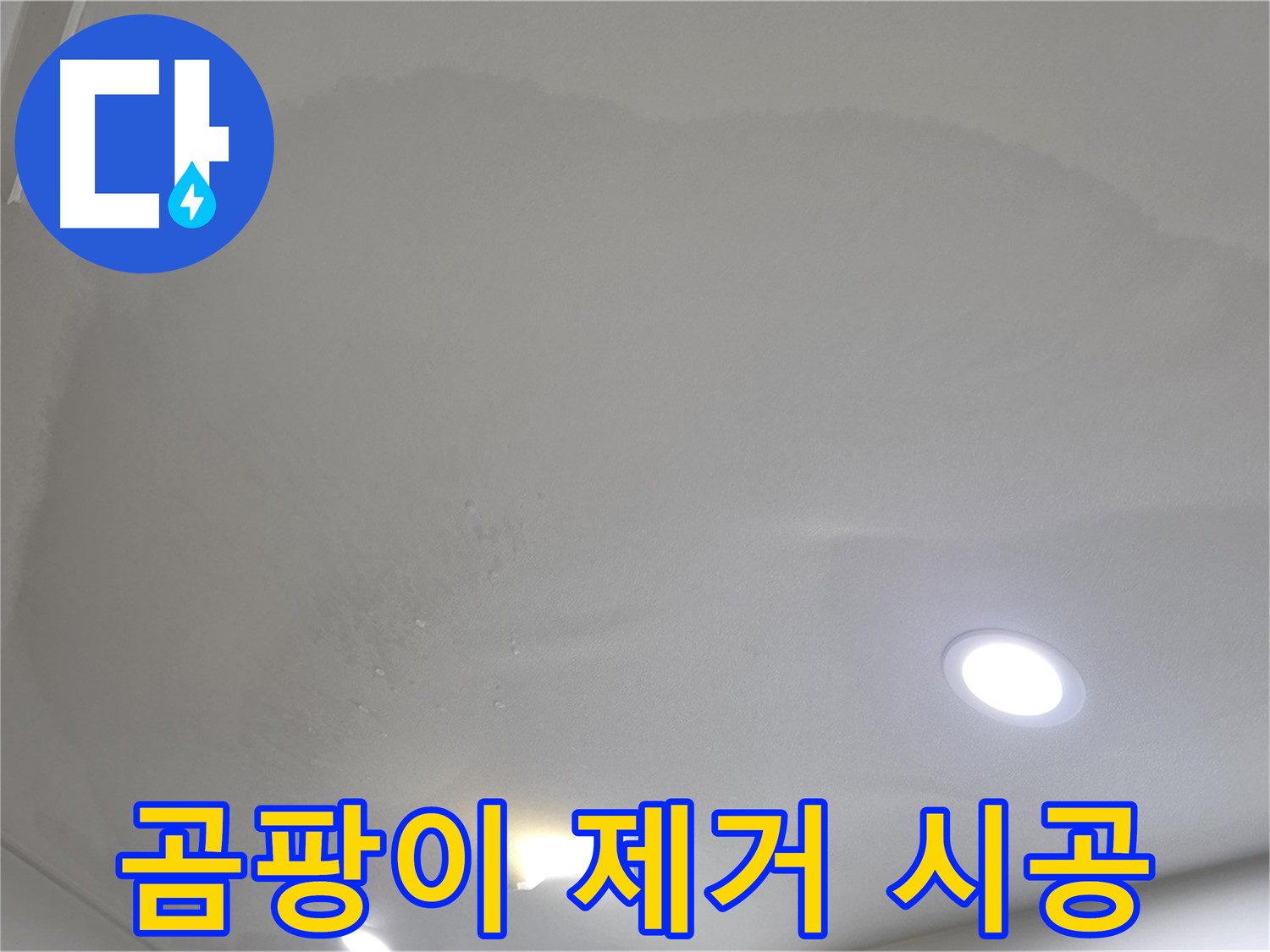 삼숭동 누수 탐지 - 곰팡이 핀 천장, 제거 시공