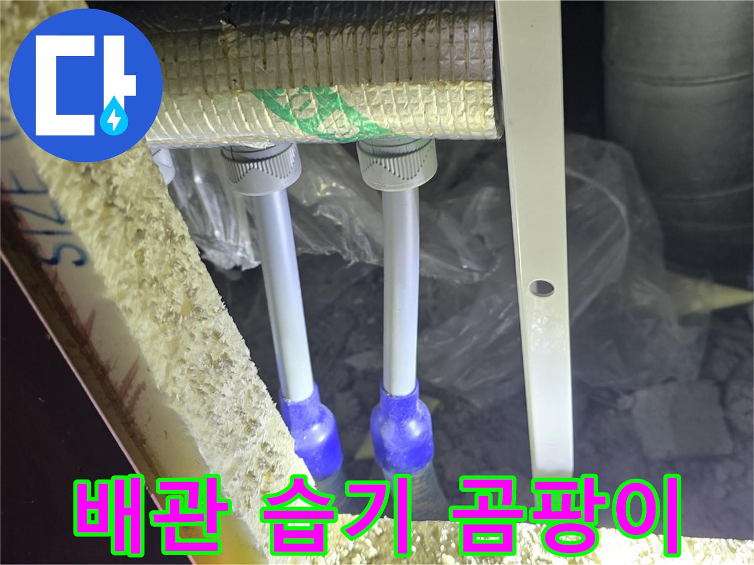 삼숭동 양주자이 아파트 누수 - 배관 연결 부속 주변 습기 및 곰팡이 발생 가능성 면밀 조사