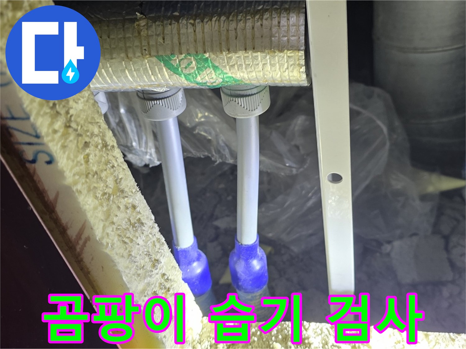 삼숭동 양주자이 아파트 누수 - 배관 연결 부속 주변 습기 및 곰팡이 발생 여부 정밀 검사