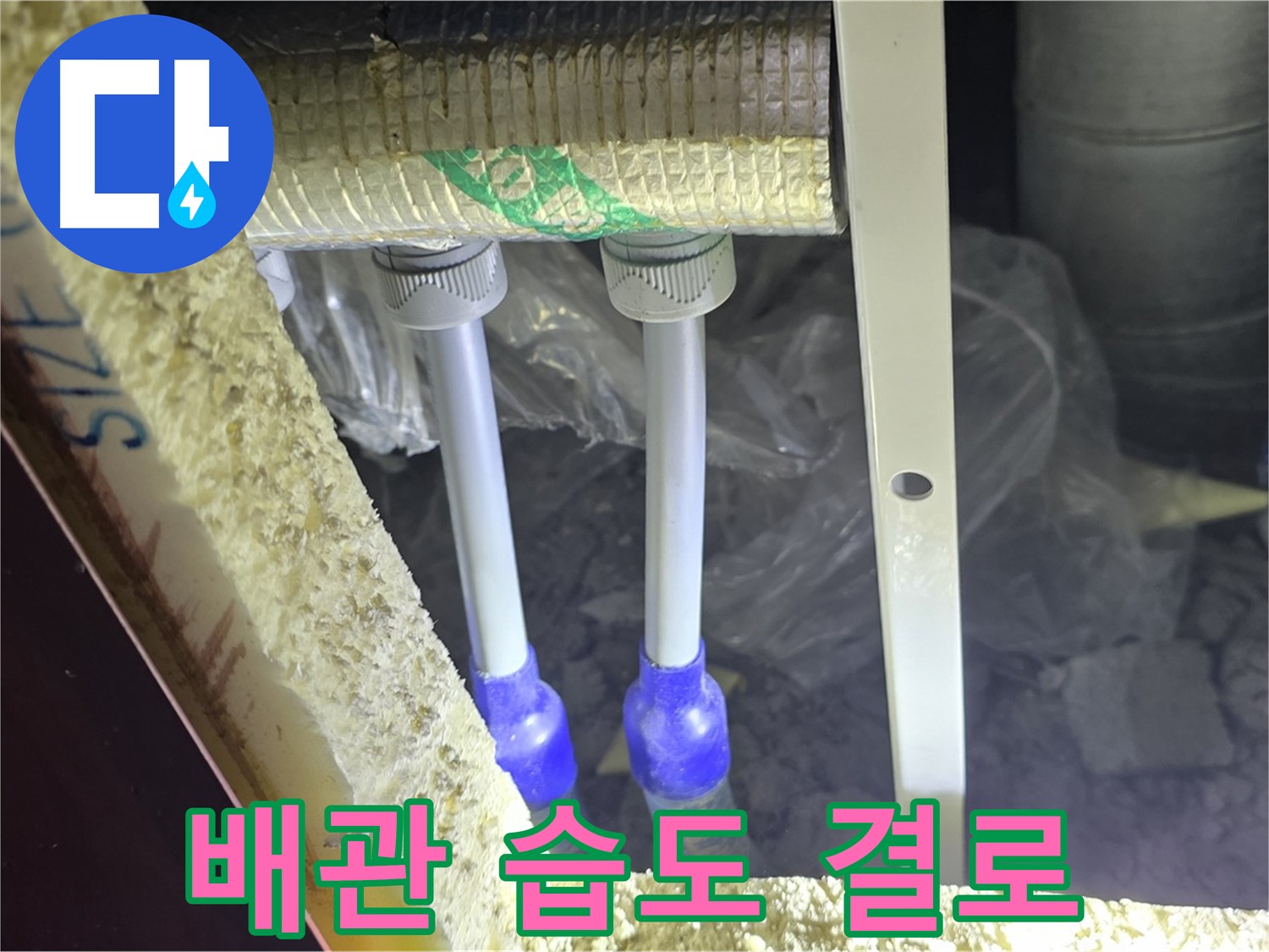 삼숭동 양주자이 아파트 누수 - 배관 연결 부속 주변 습도 상승 및 결로 현상 집중 탐색