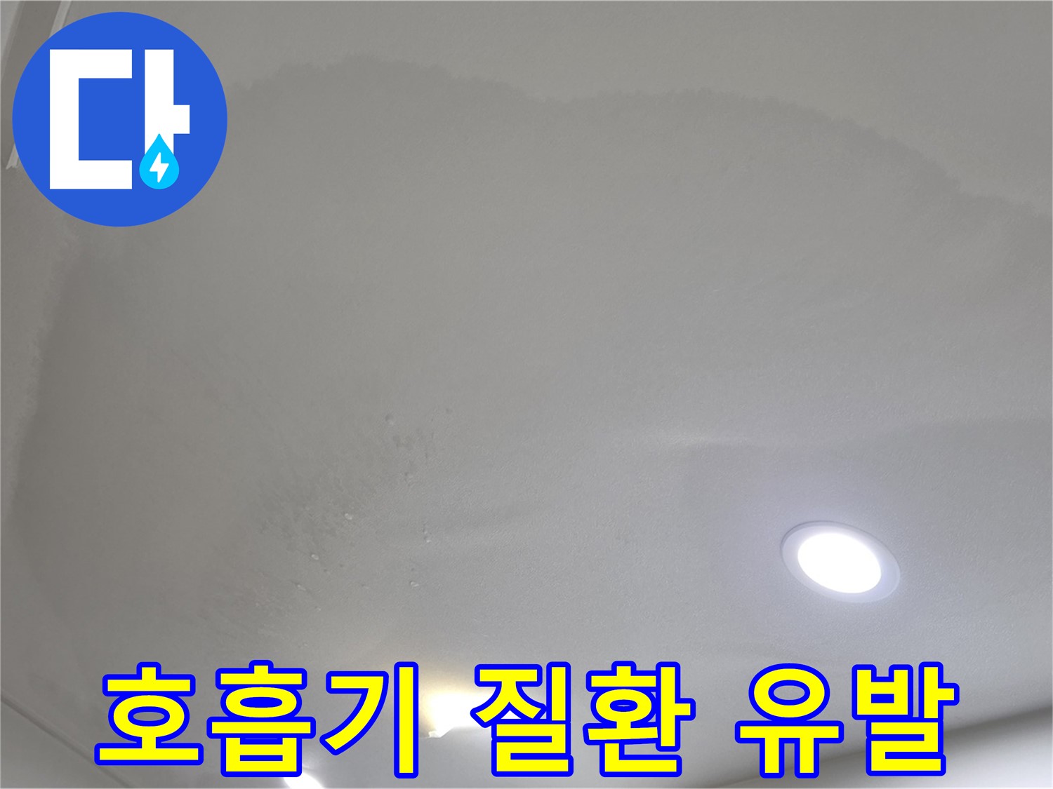 삼숭동 자이 107동 누수 - 곰팡이 천장 - 호흡기 질환