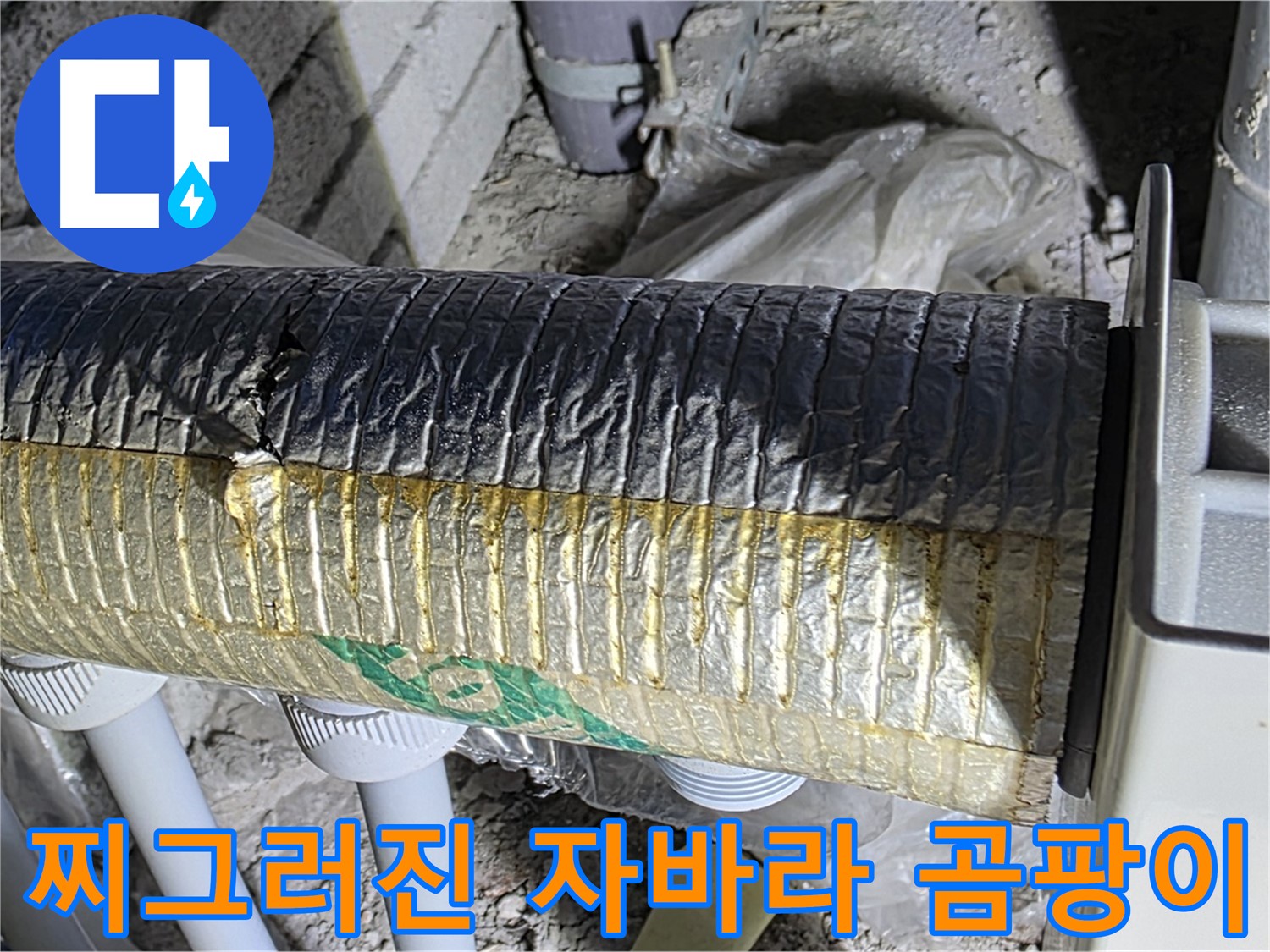 삼숭동 자이아파트 - 찌그러진 자바라, 곰팡이 서식