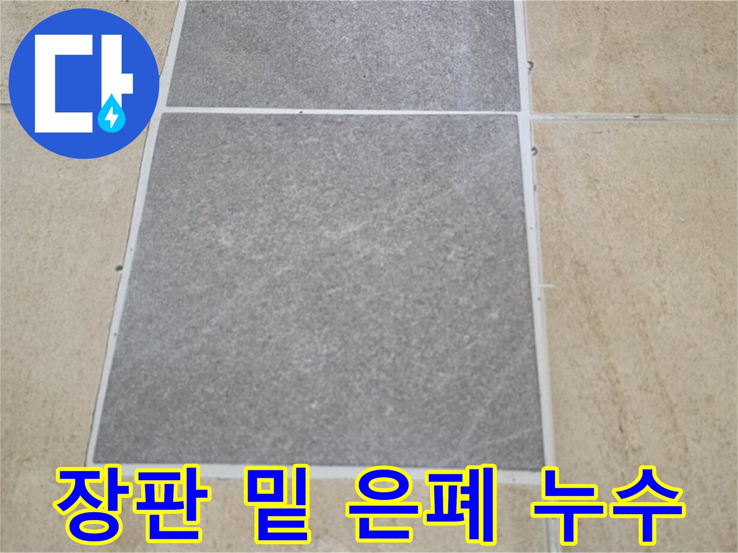 양주 삼숭동 아파트 - 장판 밑에 숨겨진 타일 누수 가능성을 점검하고 있습니다.