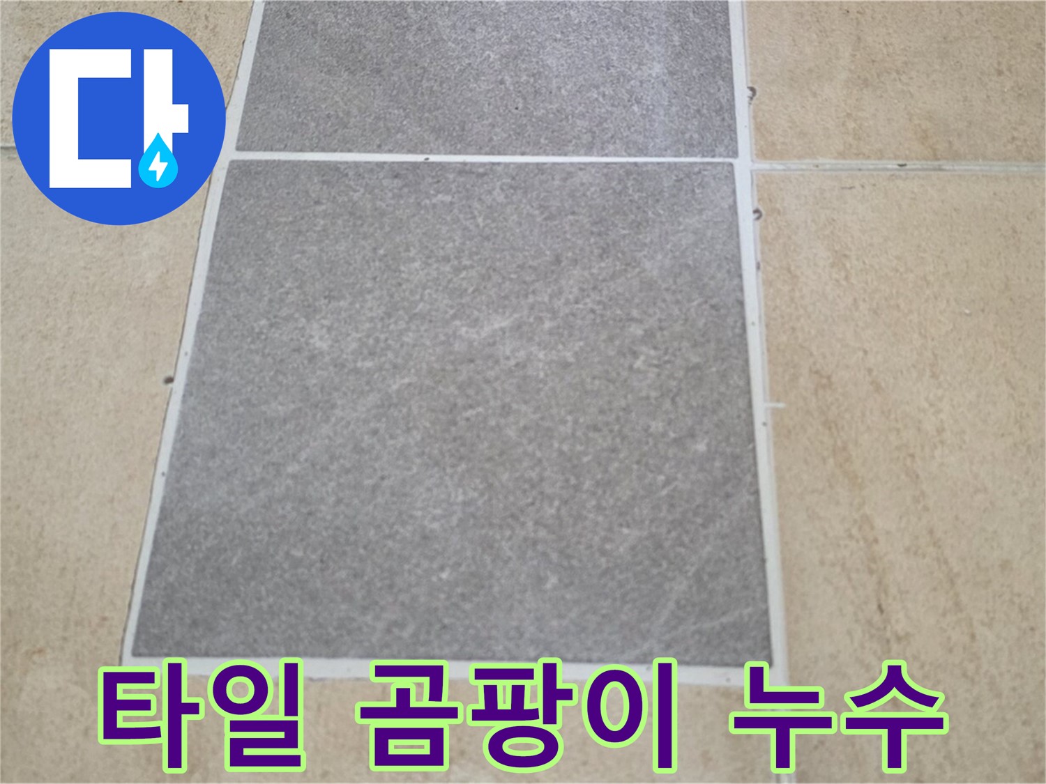 양주 삼숭동 아파트 - 주방 타일 곰팡이 발생 - 누수와의 관계를 분석하고 있습니다.