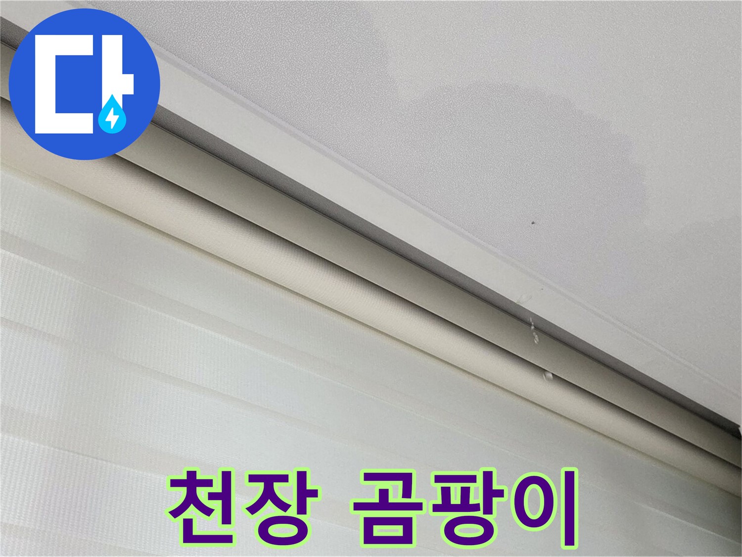양주 삼숭동 아파트 천장 곰팡이 - 누수와 곰팡이의 상관관계
