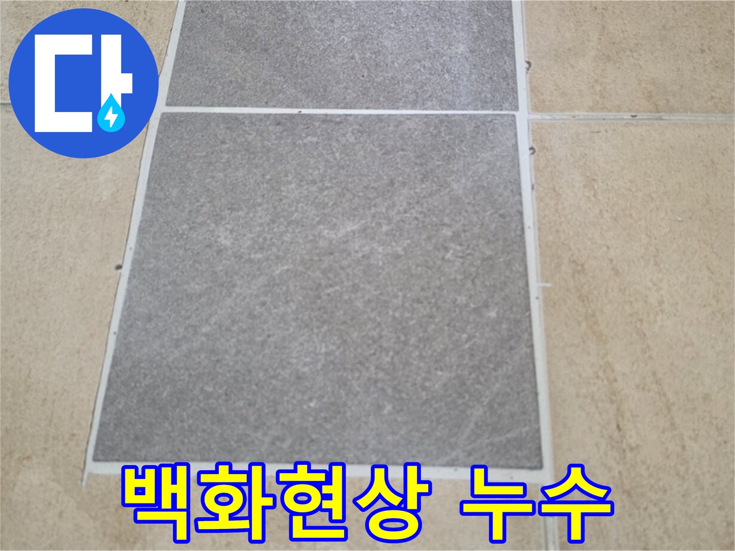 양주 삼숭동 아파트 - 타일 틈새 백화현상과 누수의 연관성을 조사하고 있습니다.
