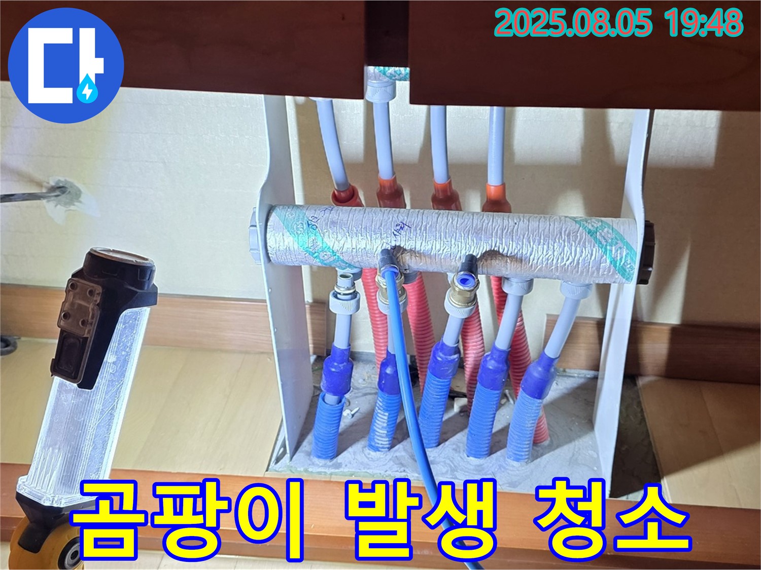 양주 삼숭동 양주자이 싱크대 누수 - 분배기 주변에 곰팡이가 발생하여 청소 작업을 진행합니다.