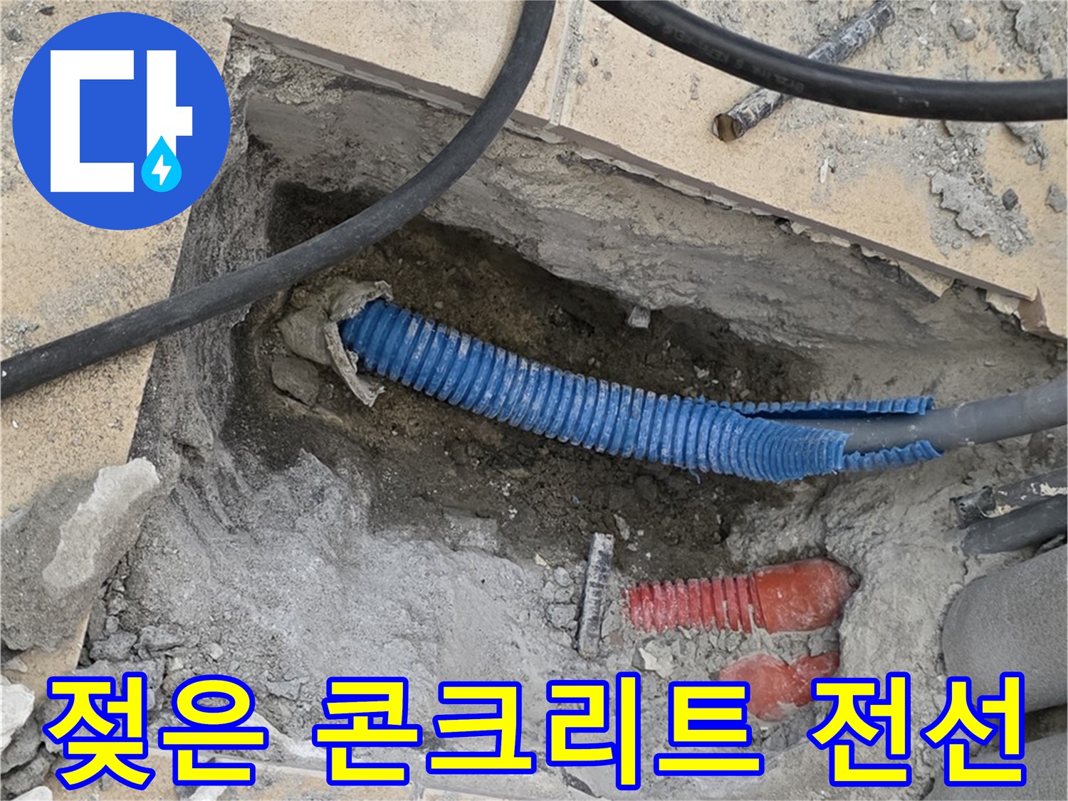 양주 삼숭동 자이아파트 누수 - 굴착 후 젖은 콘크리트와 꼬불거리는 파란 전선관 발견!
