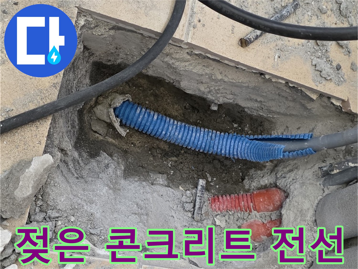 양주 삼숭동 자이아파트 누수 - 젖은 콘크리트와 꼬불거리는 전선관 발견