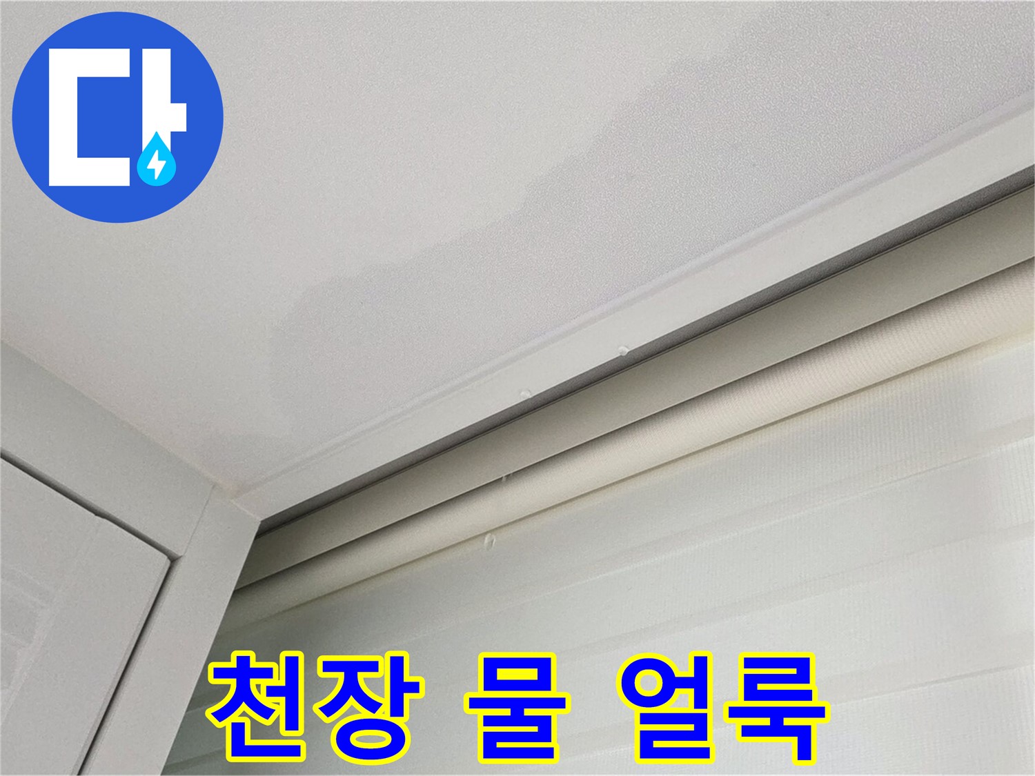 양주 삼숭동 자이아파트 천장 누수 - 물 얼룩으로 누수 의심