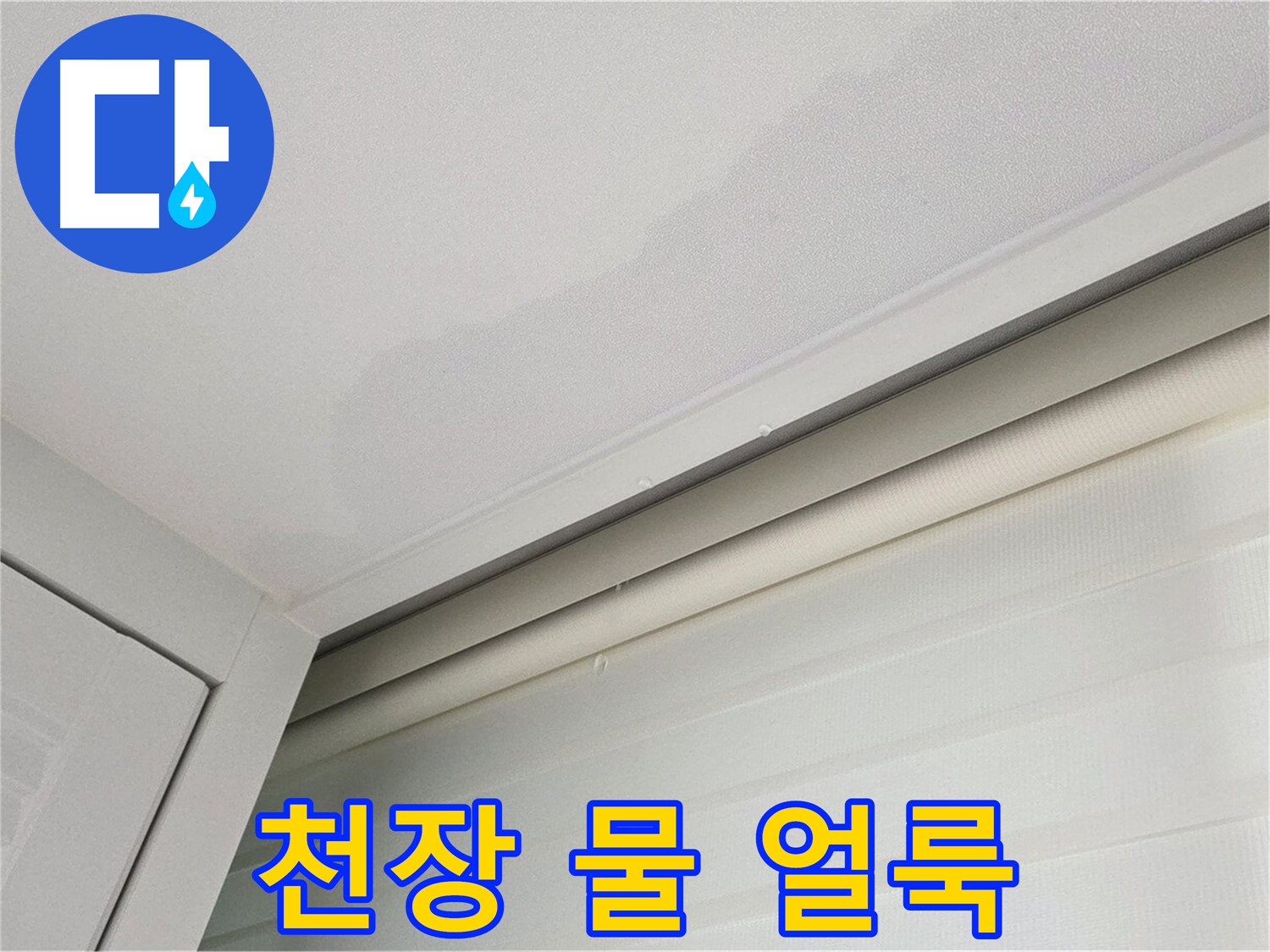 양주 삼숭동 자이아파트 천장 누수 - 물 얼룩으로 누수 의심