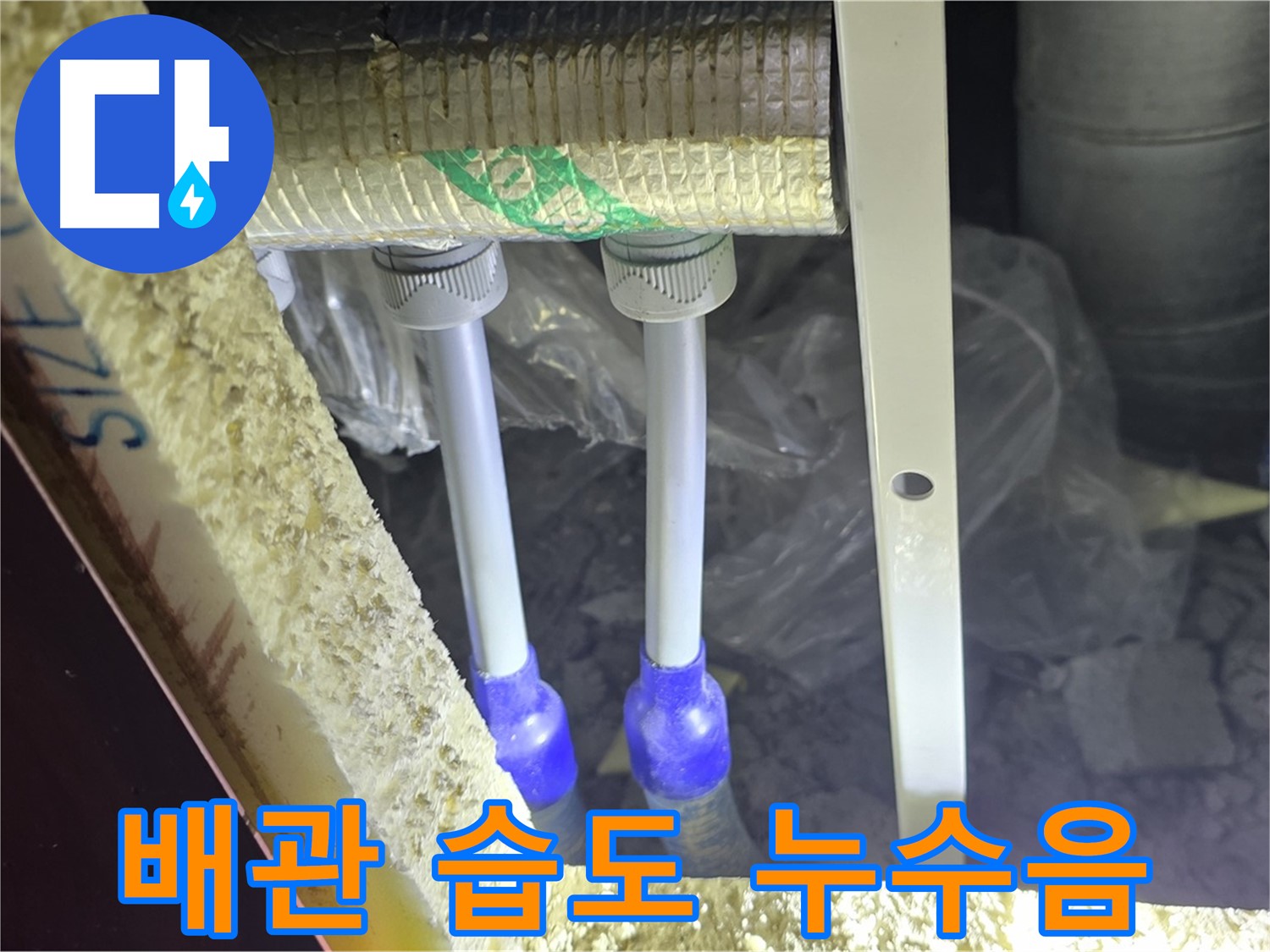양주 자이 아파트 누수 - 배관 연결 부위 주변 습도 변화 및 미세 누수음 청취