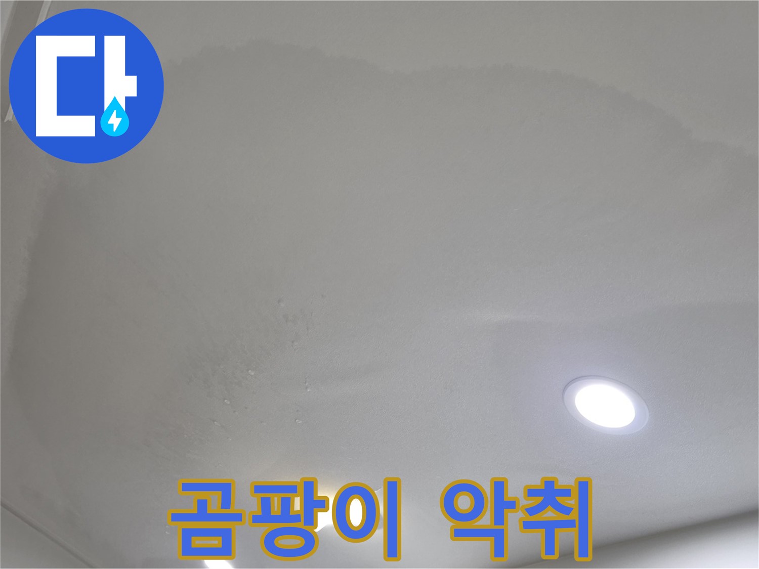 양주시 삼숭동 누수 - 곰팡이 천장 - 악취