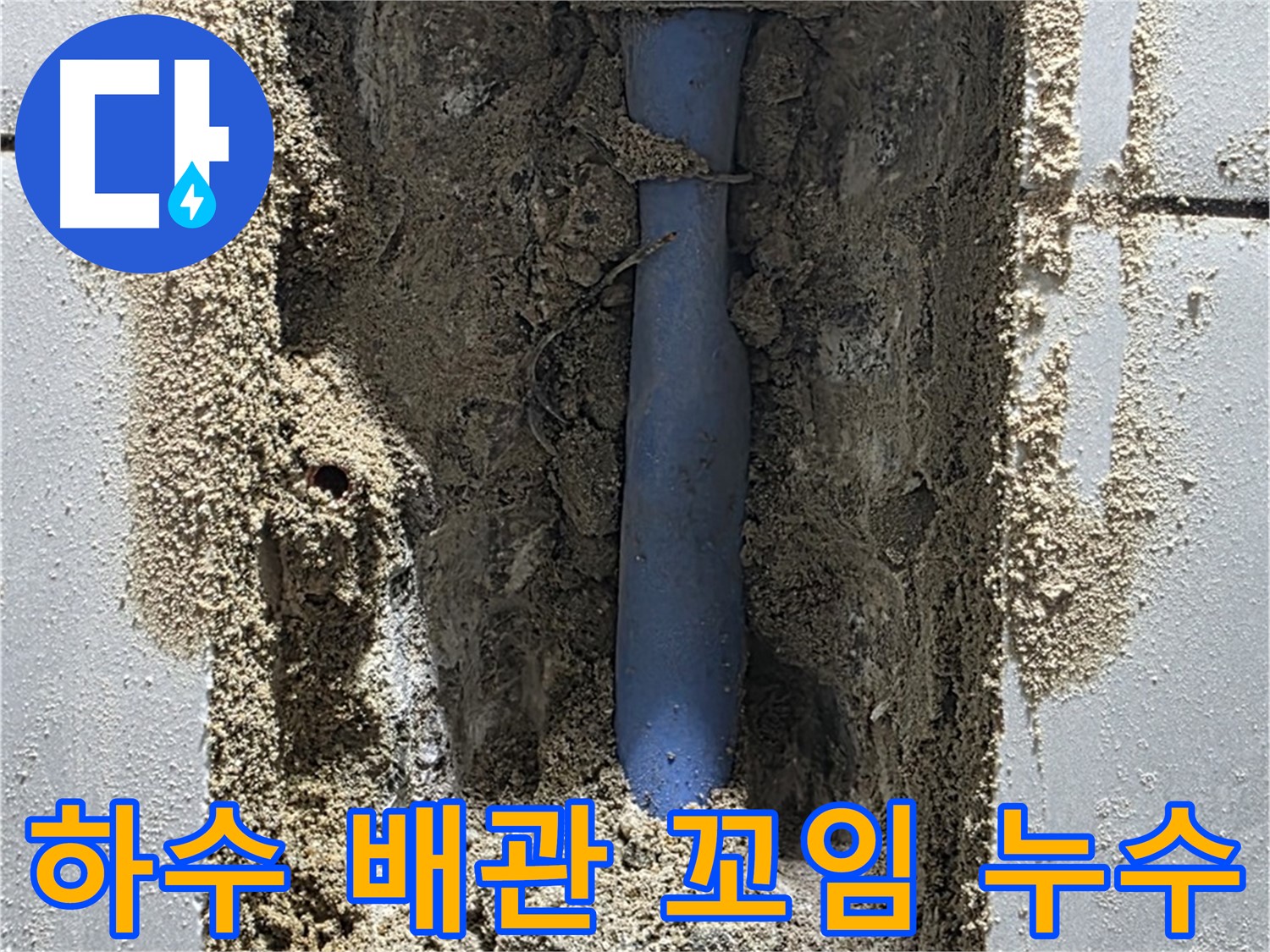 분당 쇳골 누수 - 꼬여버린 하수 배관으로 누수 발생