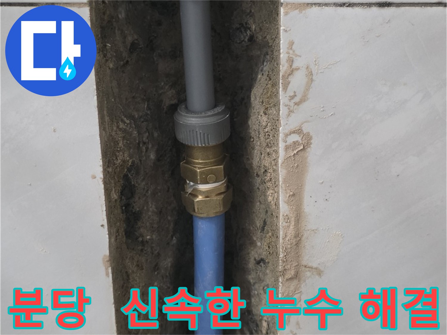 분당 쇳골 - 신속하게 방문하여 누수 문제 해결