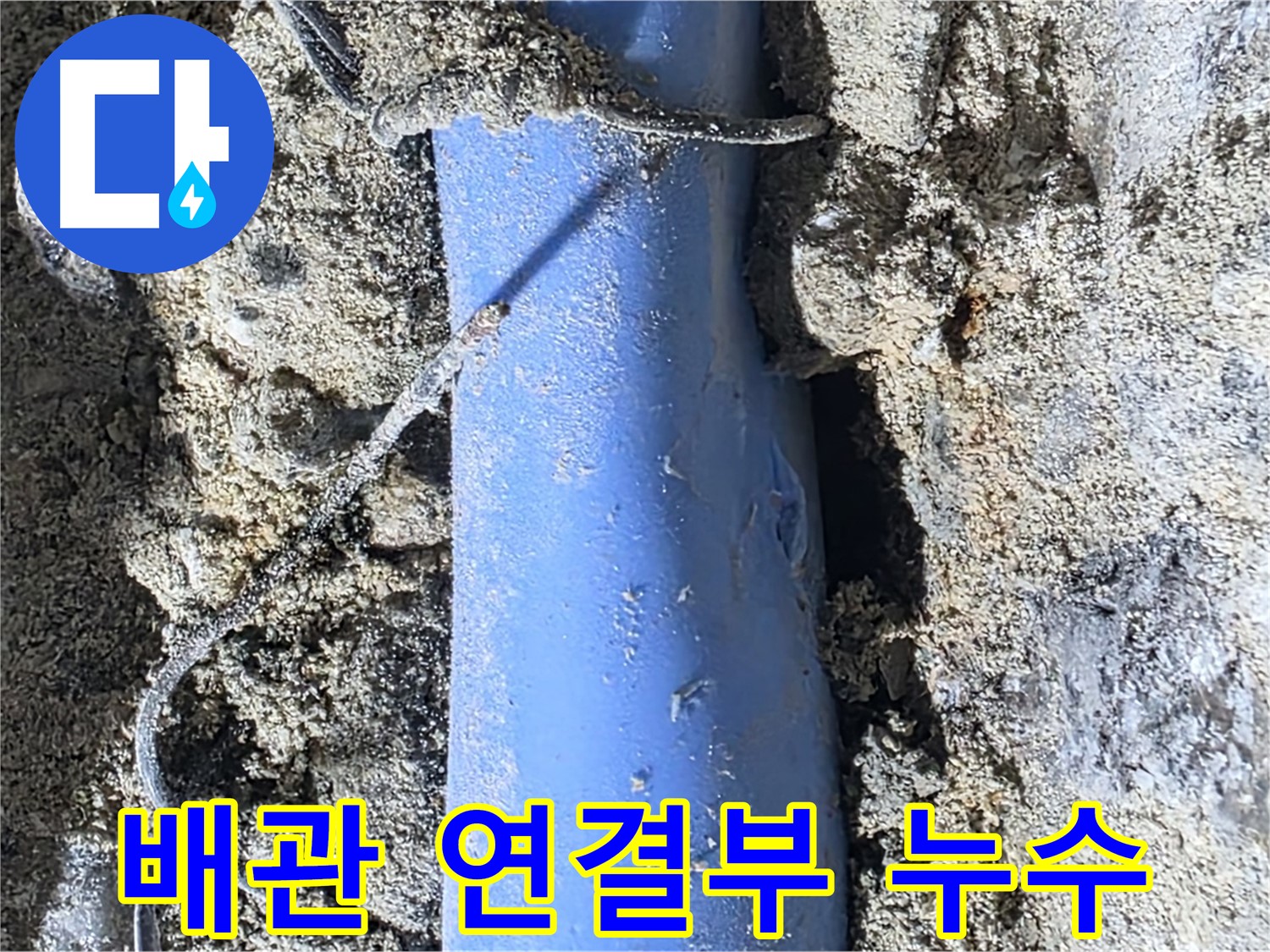 분당 쇳골로 누수 - 배관 연결부에서 누수가 발생한 모습입니다.