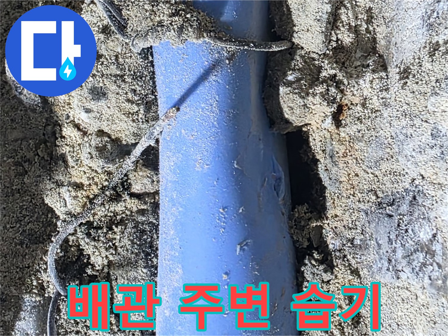 분당 쇳골로 누수 - 배관 주변에 습기가 차 있는 모습 - 누수의 확실한 증거입니다.