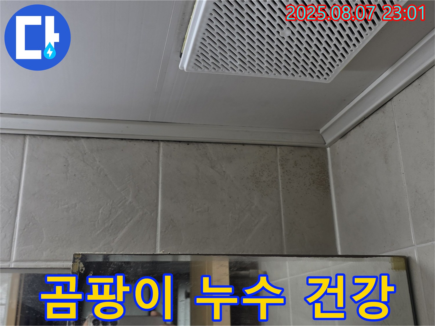 욕실 천장 모서리-곰팡이 확산 모습-누수와 곰팡이의 건강상 위험