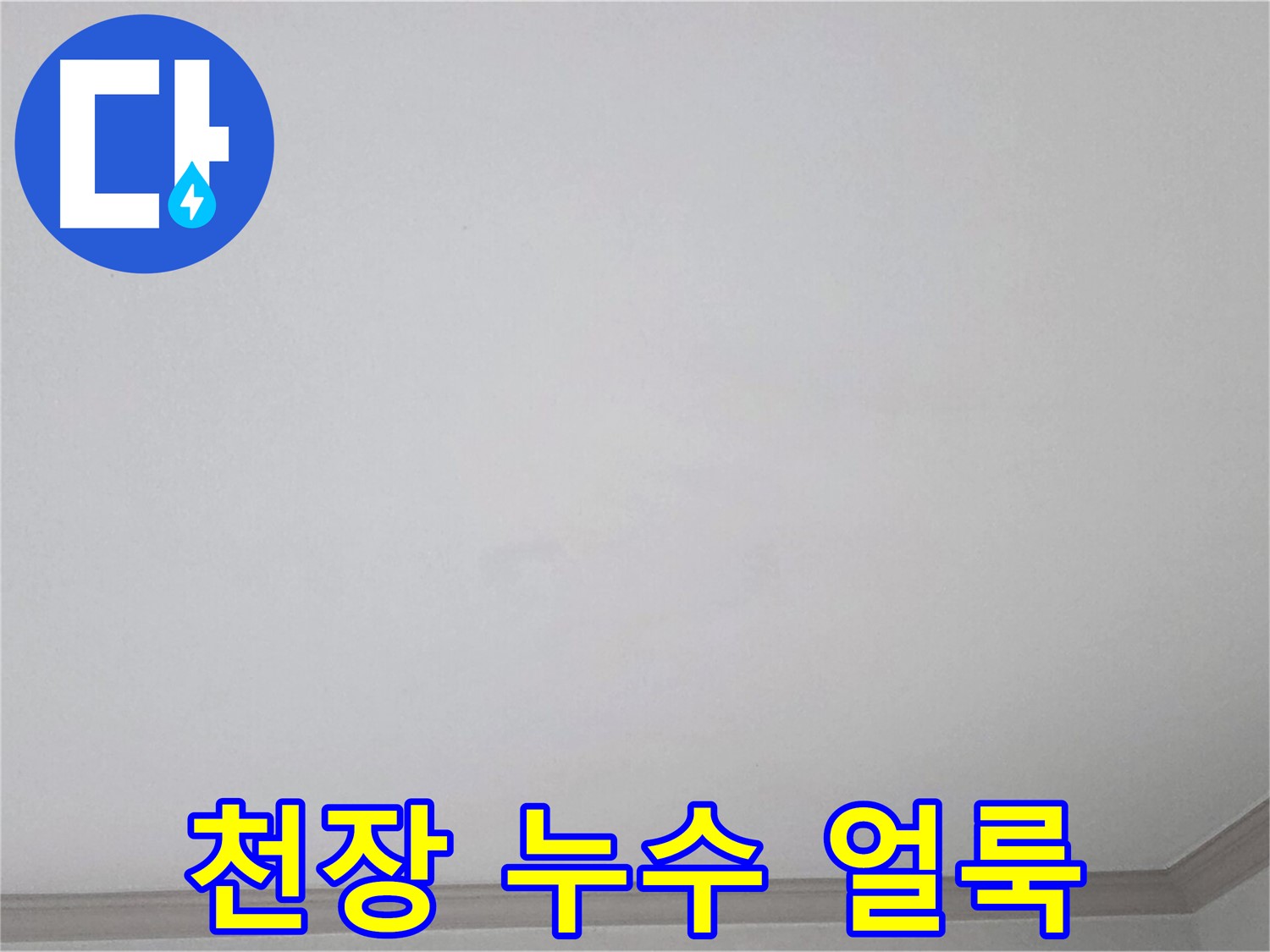 인천 남동구 논현동 논현주공1단지 아파트 천장 누수 - 누수 얼룩 확인 및 누수 범위 측정