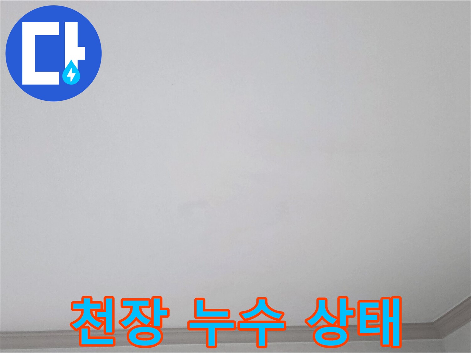 인천 남동구 논현동 논현주공1단지 천장 누수 - 누수 상태 꼼꼼 점검 및 원인 파악