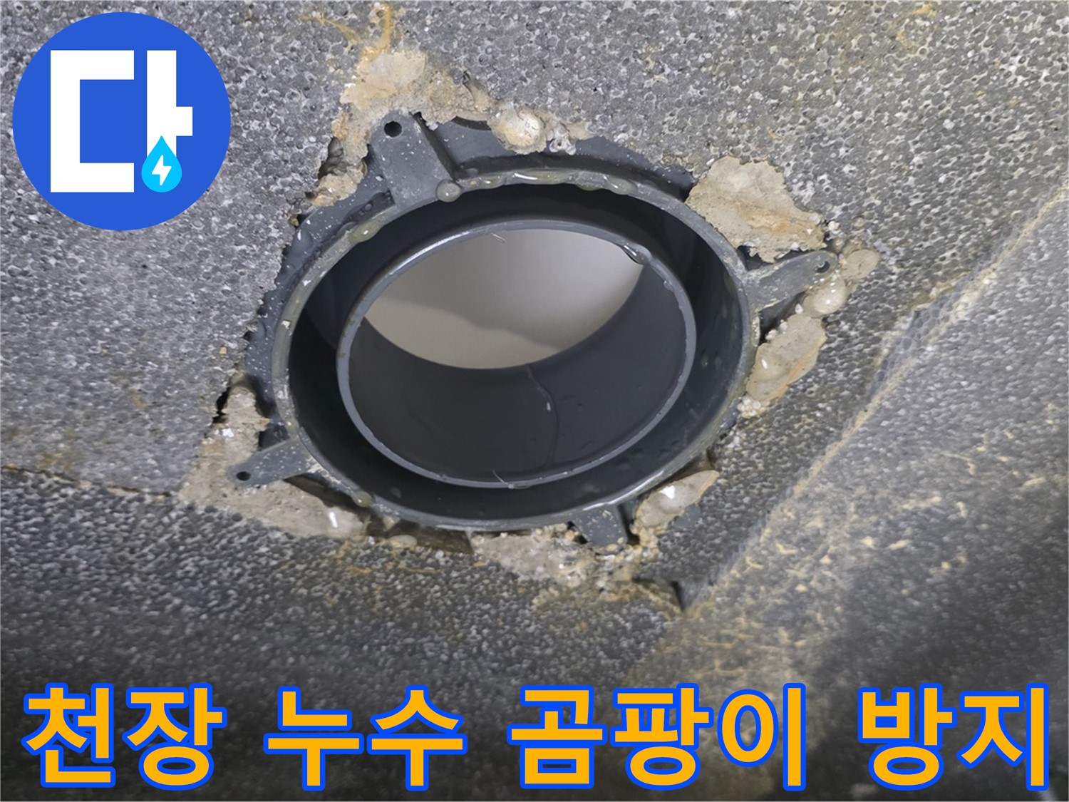옥정 율정마을13단지 천장 누수 - 배관 부속 교체로 곰팡이 걱정 해결