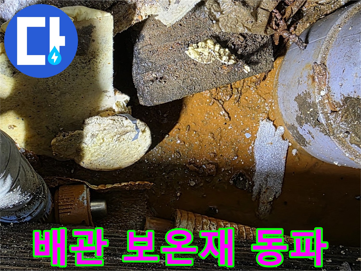원삼 누수 현장 - 배관 부식과 보온재 문제 - 겨울철 동파 대비가 필수입니다.