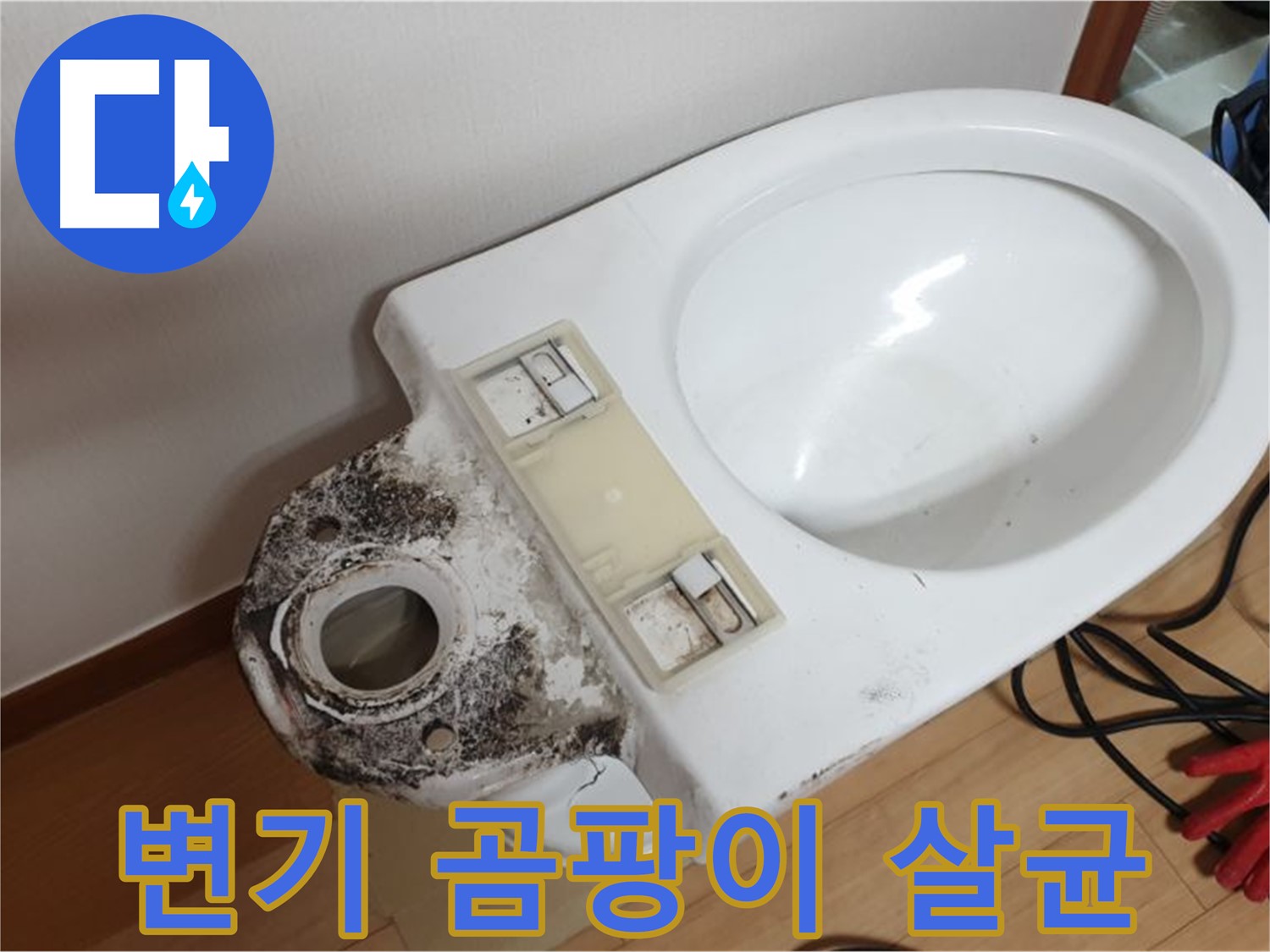 변기 곰팡이 뿌리 뽑기 - 확실한 살균 소독
