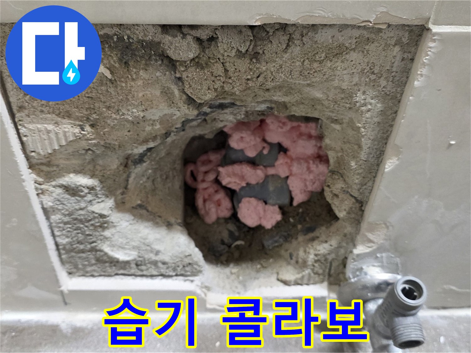 하월곡동 래미안월곡 누수 - 욕실 천장 속 핑크 단열재, 곰팡이와 습기의 콜라보레이션