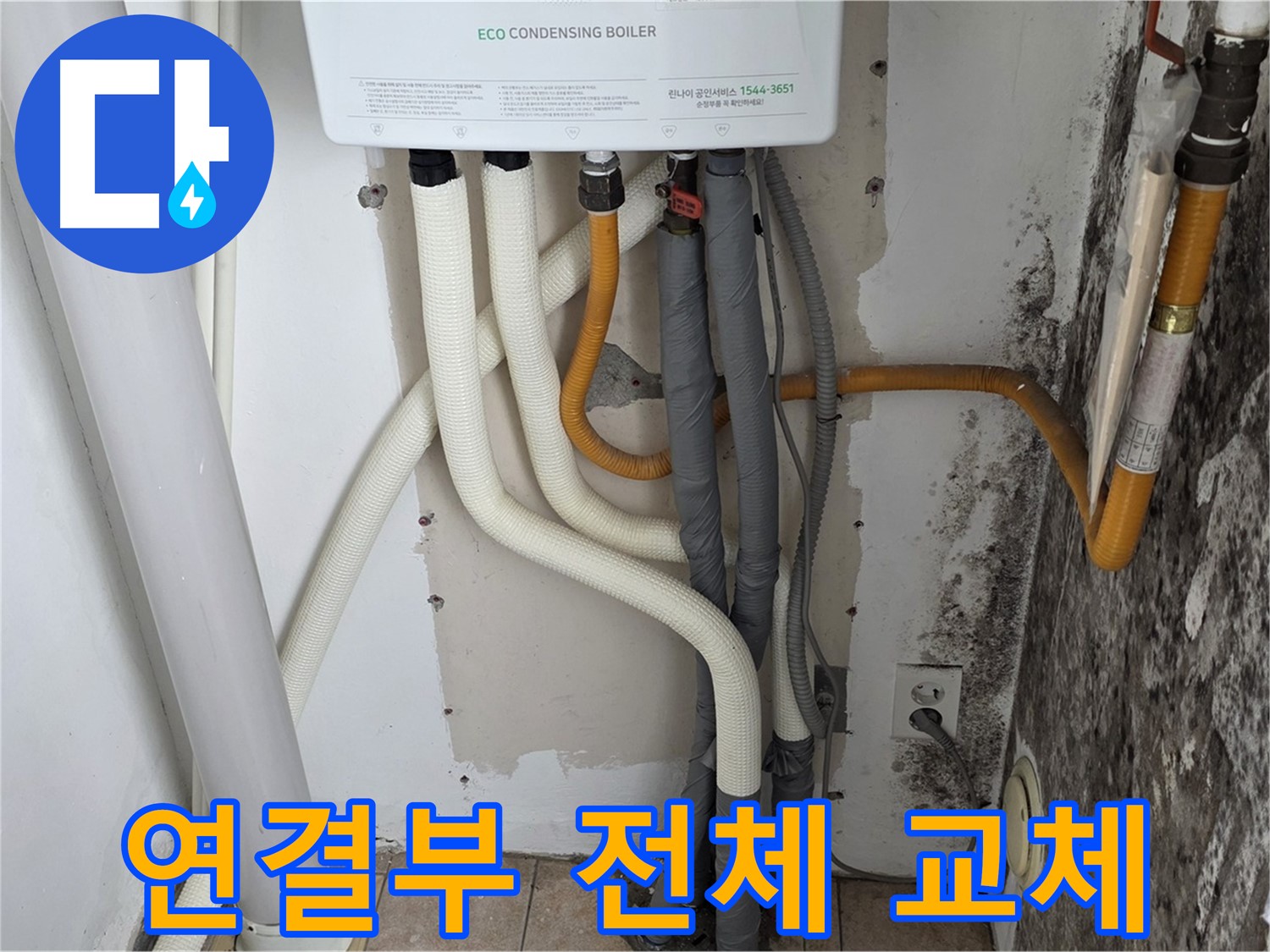 길음동 아파트 누수 해결 - 곰팡이 핀 벽, 보일러 연결부 전체 교체 완료