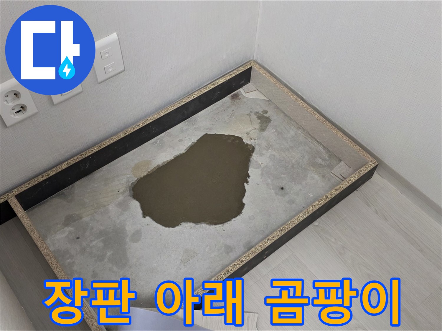 성북구 길음동 누수 - 장판 아래 곰팡이 발견 - 누수 원인 철저 분석 및 곰팡이 제거