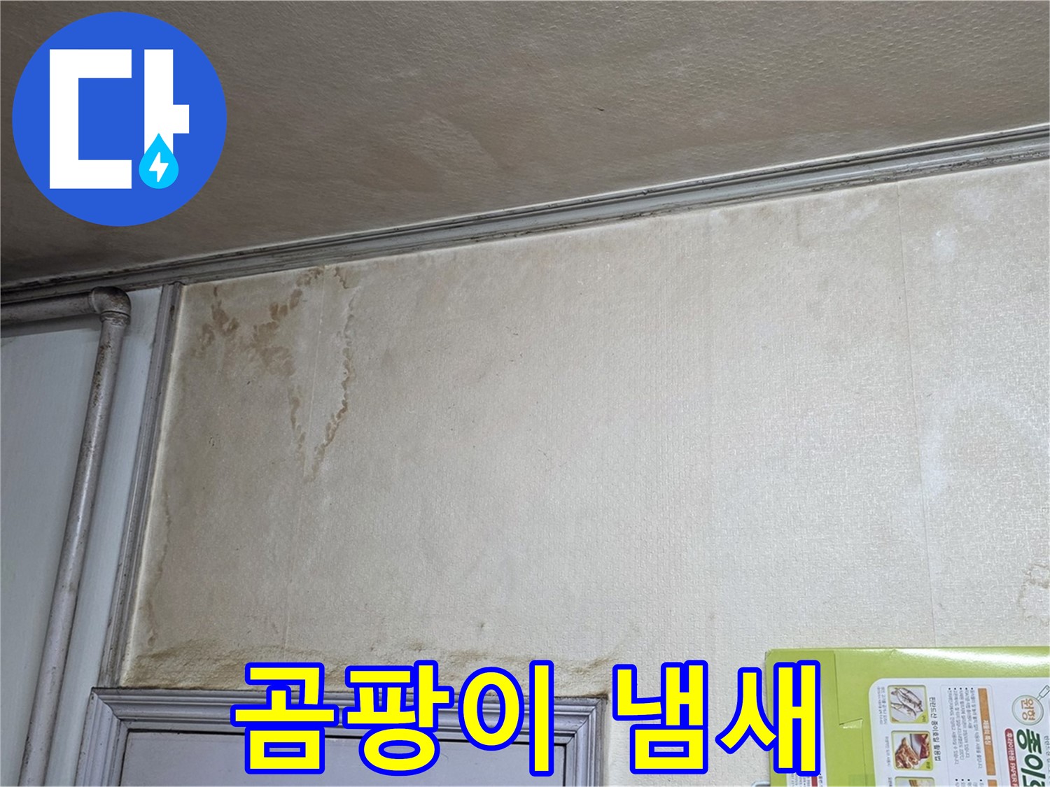 기흥구 구갈동 아파트 - 곰팡이 냄새 누수