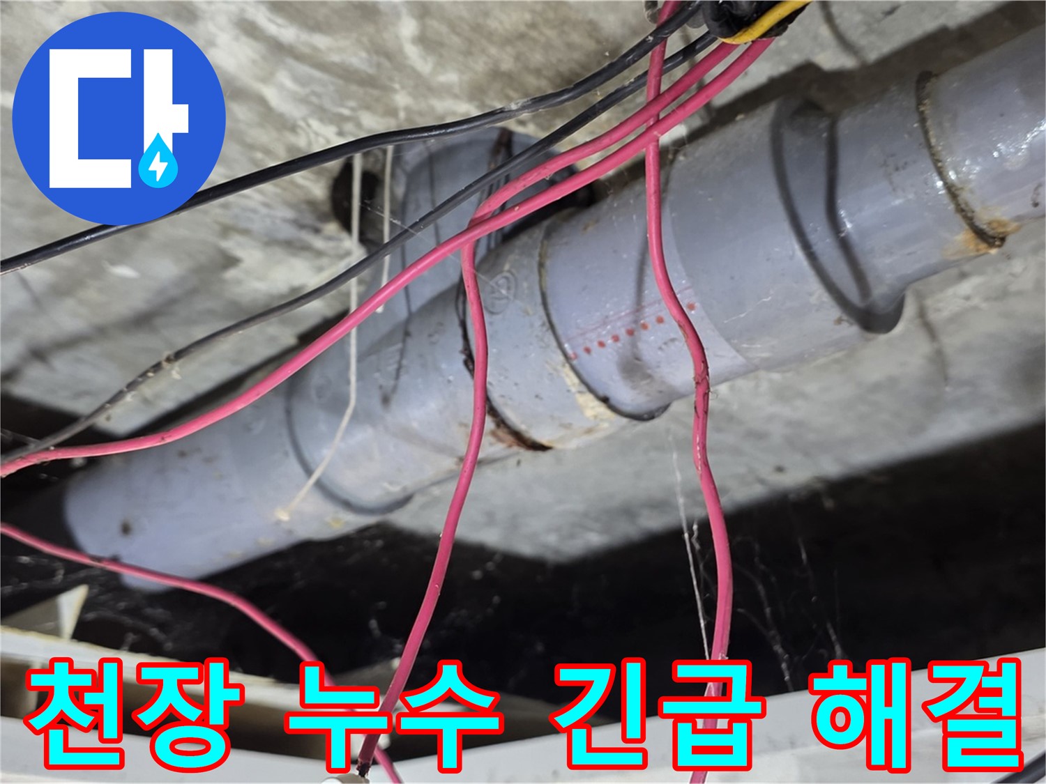 강북구 수유동 삼광빌라 천장 누수 - 신속한 방문과 정확한 진단으로 누수 문제를 해결했습니다.