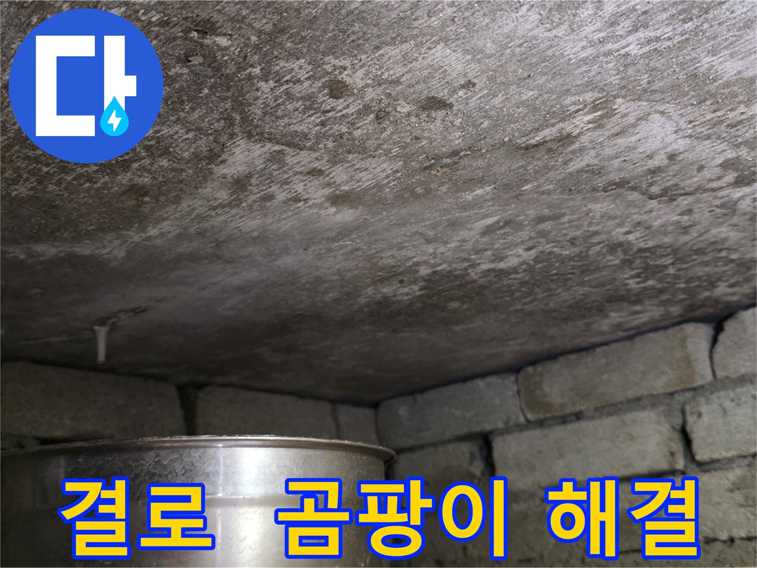 용인 처인구 원일아파트 - 결로와 곰팡이 문제 완벽하게 해결