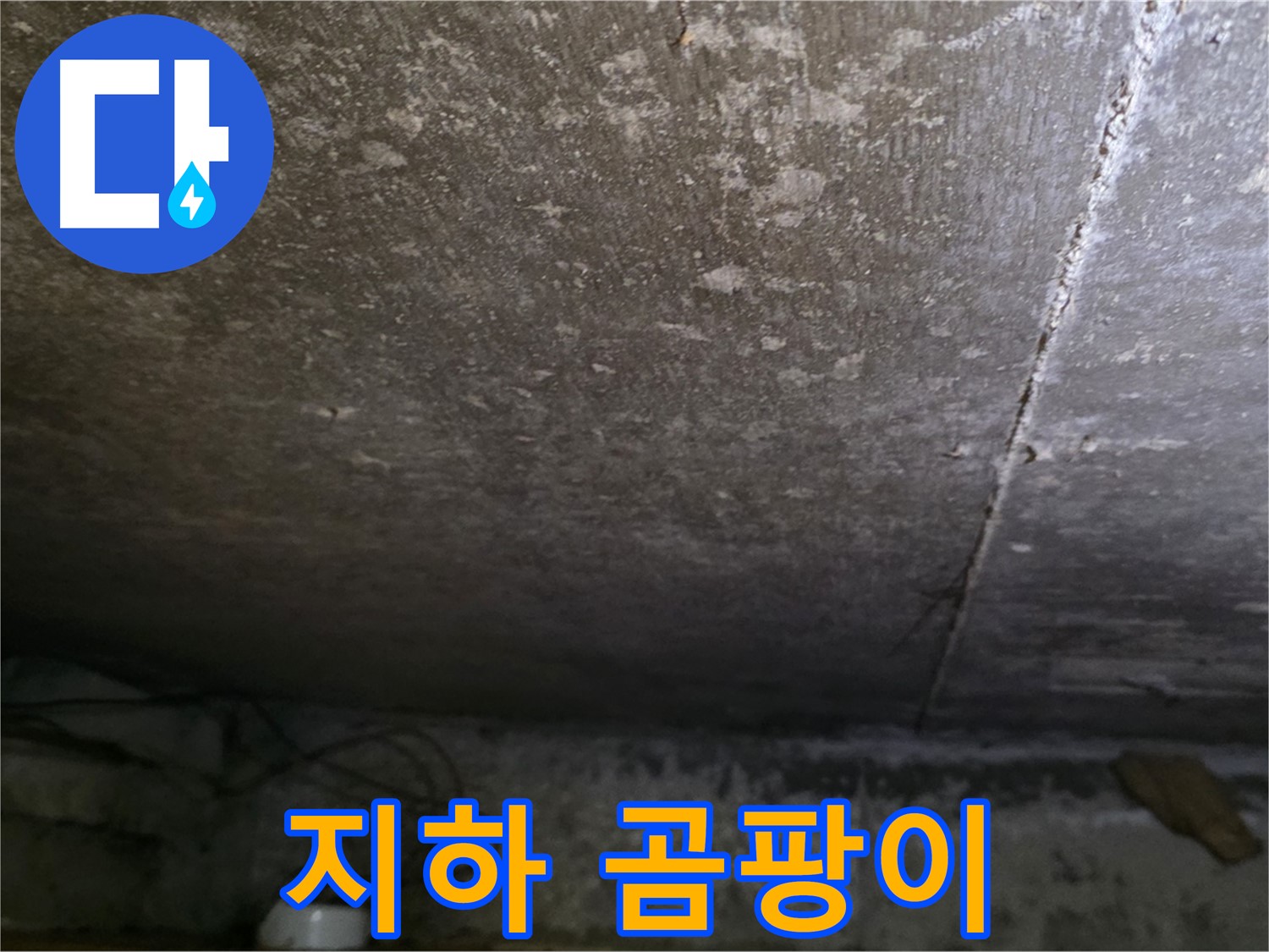 용인 처인구 원일아파트 지하 누수 - 곰팡이가 심하게 발생한 벽면을 보여줍니다.