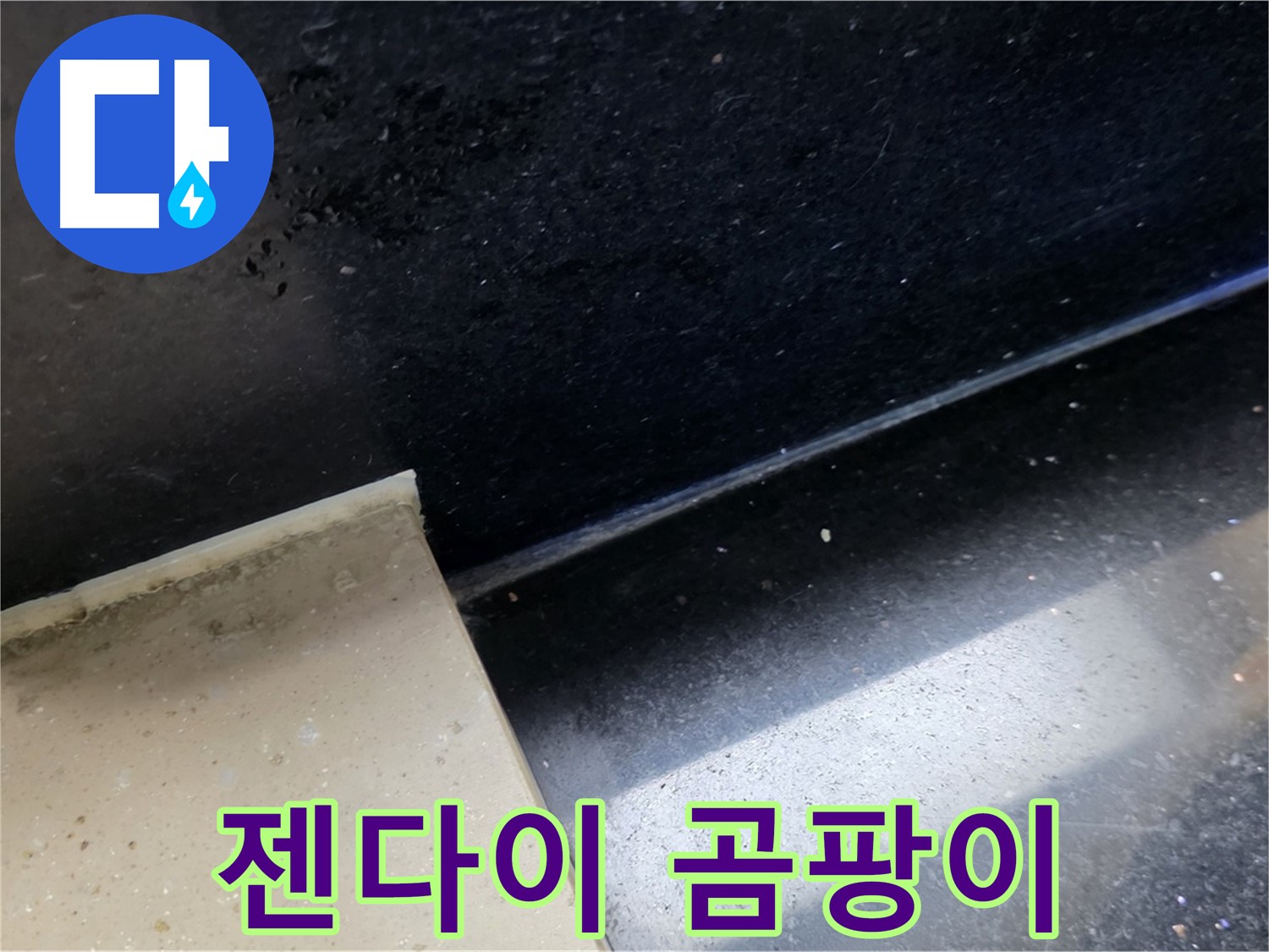 일산서구 탄현동 하이파크 인근 욕실 젠다이 곰팡이 - 누수와 곰팡이의 상관관계를 보여줍니다.
