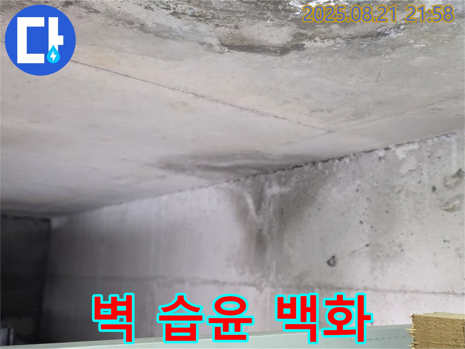 일산서구 하이파크 누수 현장 - 콘크리트 벽이 지속적으로 습윤하고 백화현상이 함께 나타나는 사진입니다.