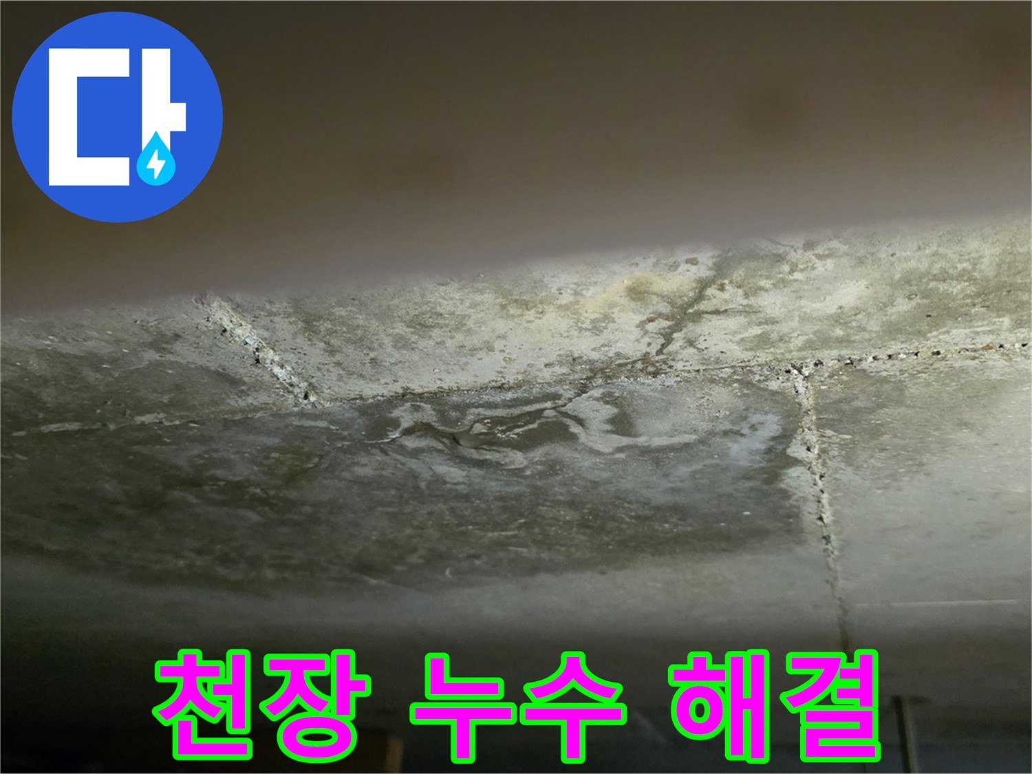 일산서구 하이파크 아파트 천장 누수 해결 - 원인 진단 및 완벽 시공